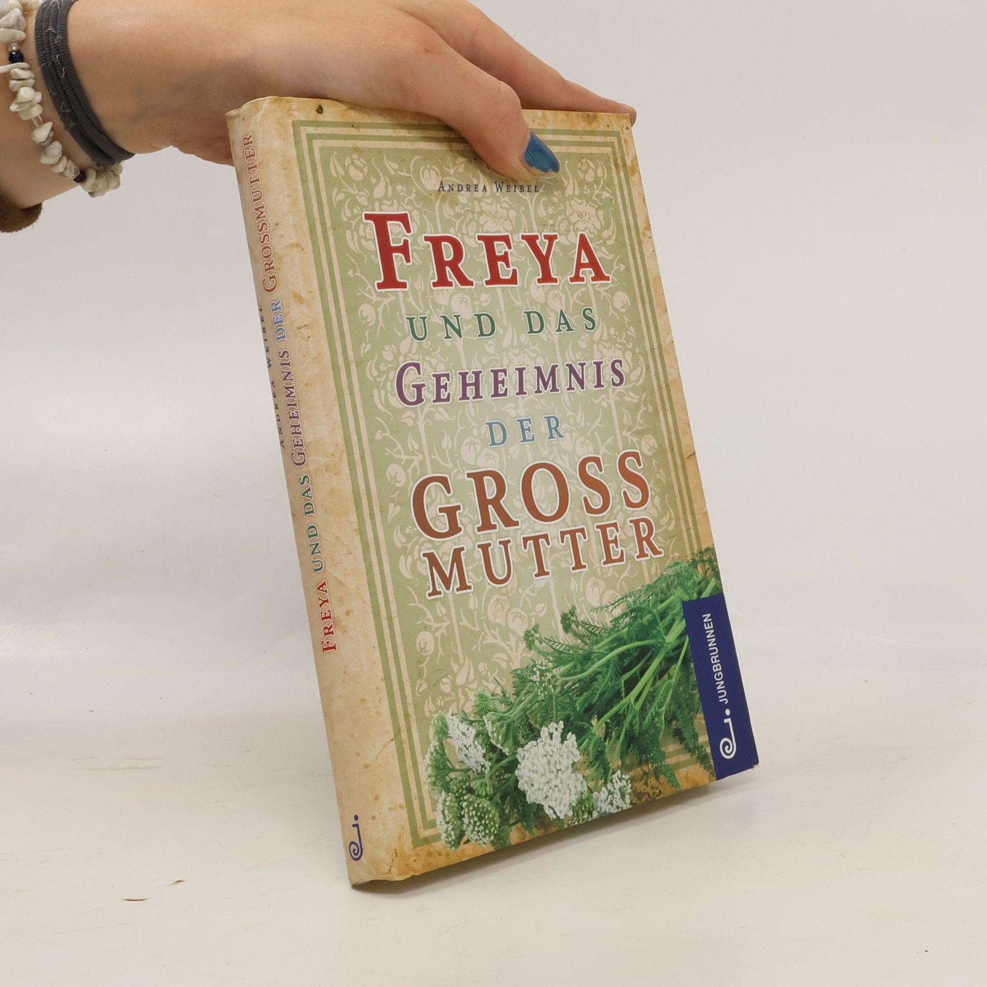 Andrea Weibel Freya und das Geheimnis der Großmutter