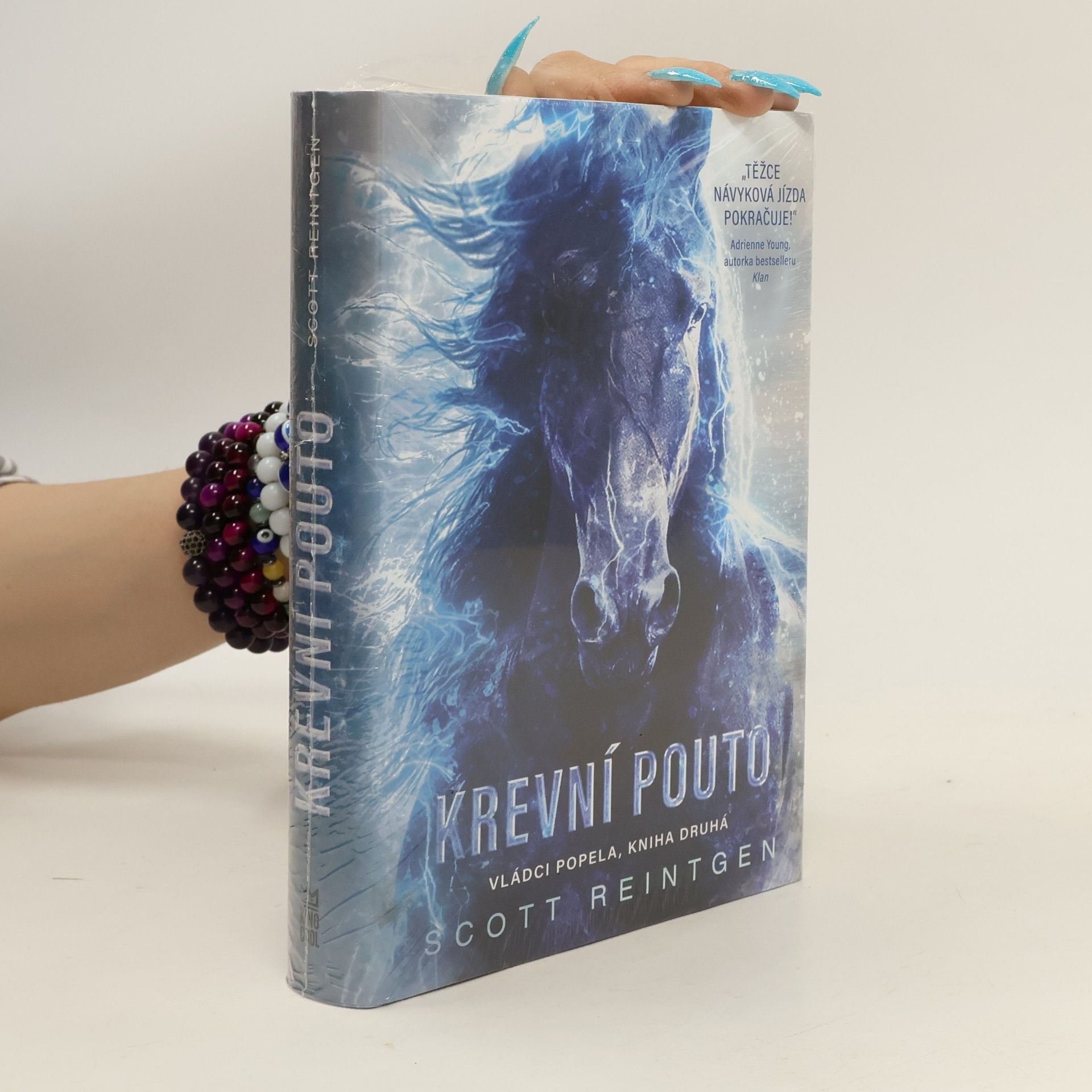 Jolana Navrátilová Vládci popela. Kniha druhá, Krevní pouto