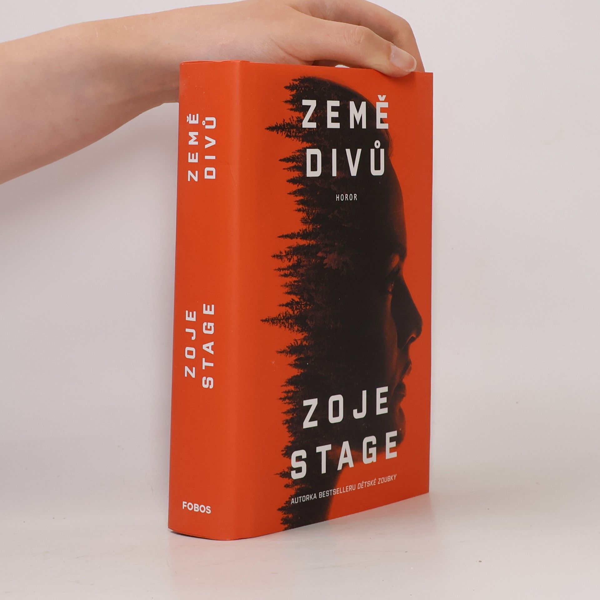 Zoje Stage Země divů