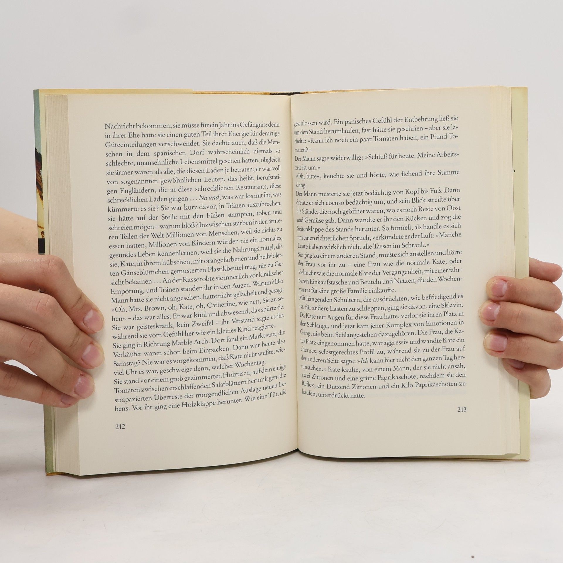 Doris May Lessing Der Sommer vor der Dunkelheit