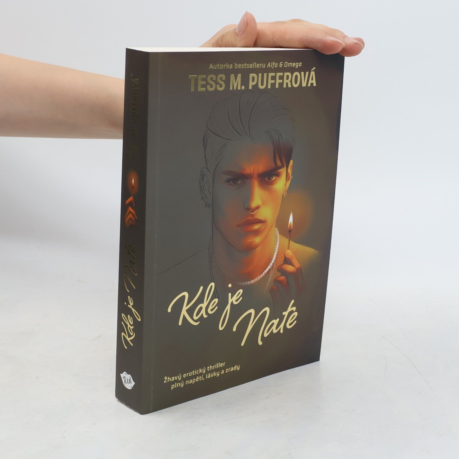 Tess M. Puffrová Kde je Nate
