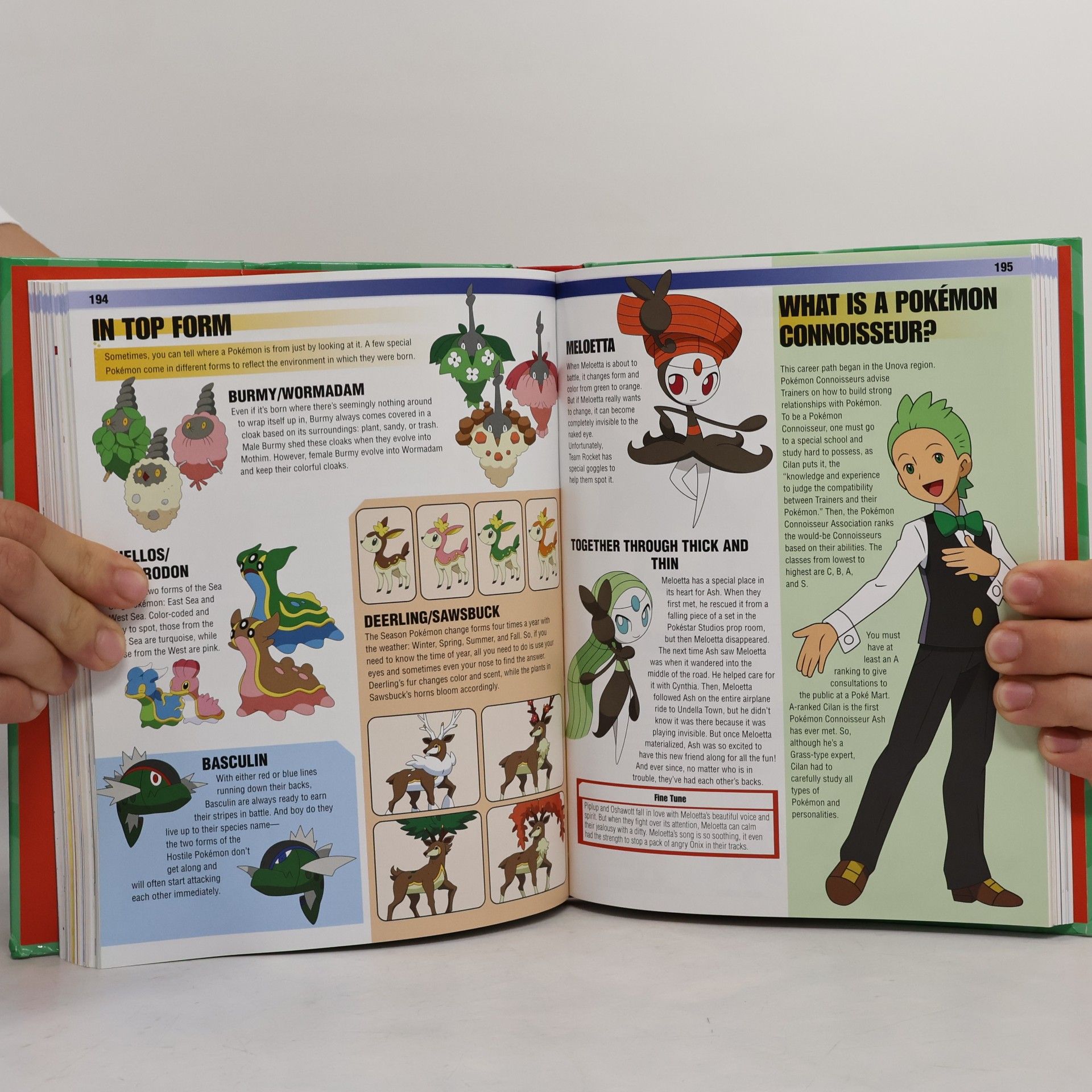 Pokemon Pokemon Encyclopedia