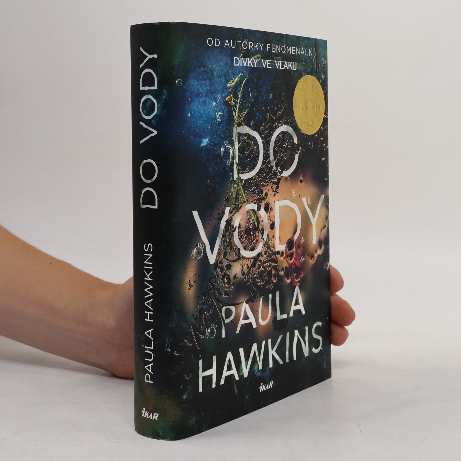 Paula Hawkinsová Do vody