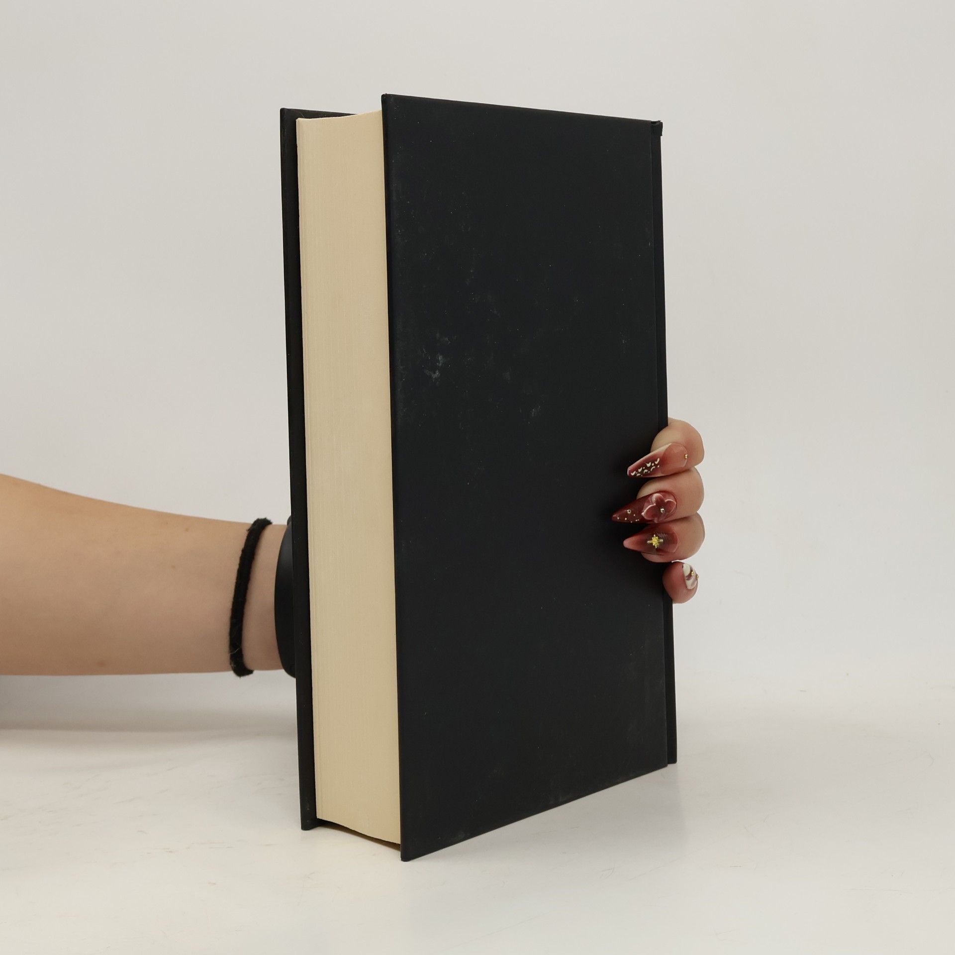 Donna Tartt Stehlík
