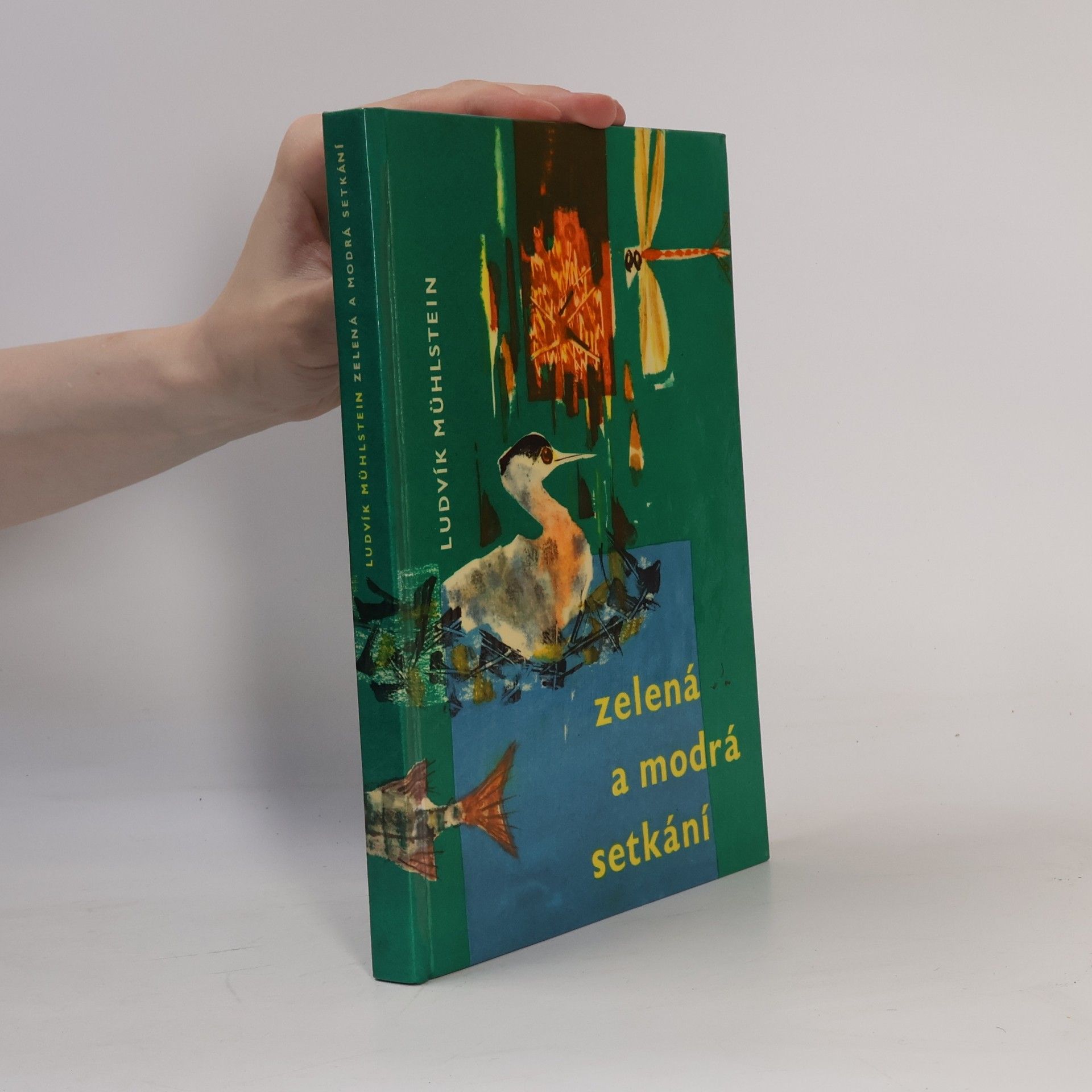 Ludvík Mühlstein Zelená a modrá setkání