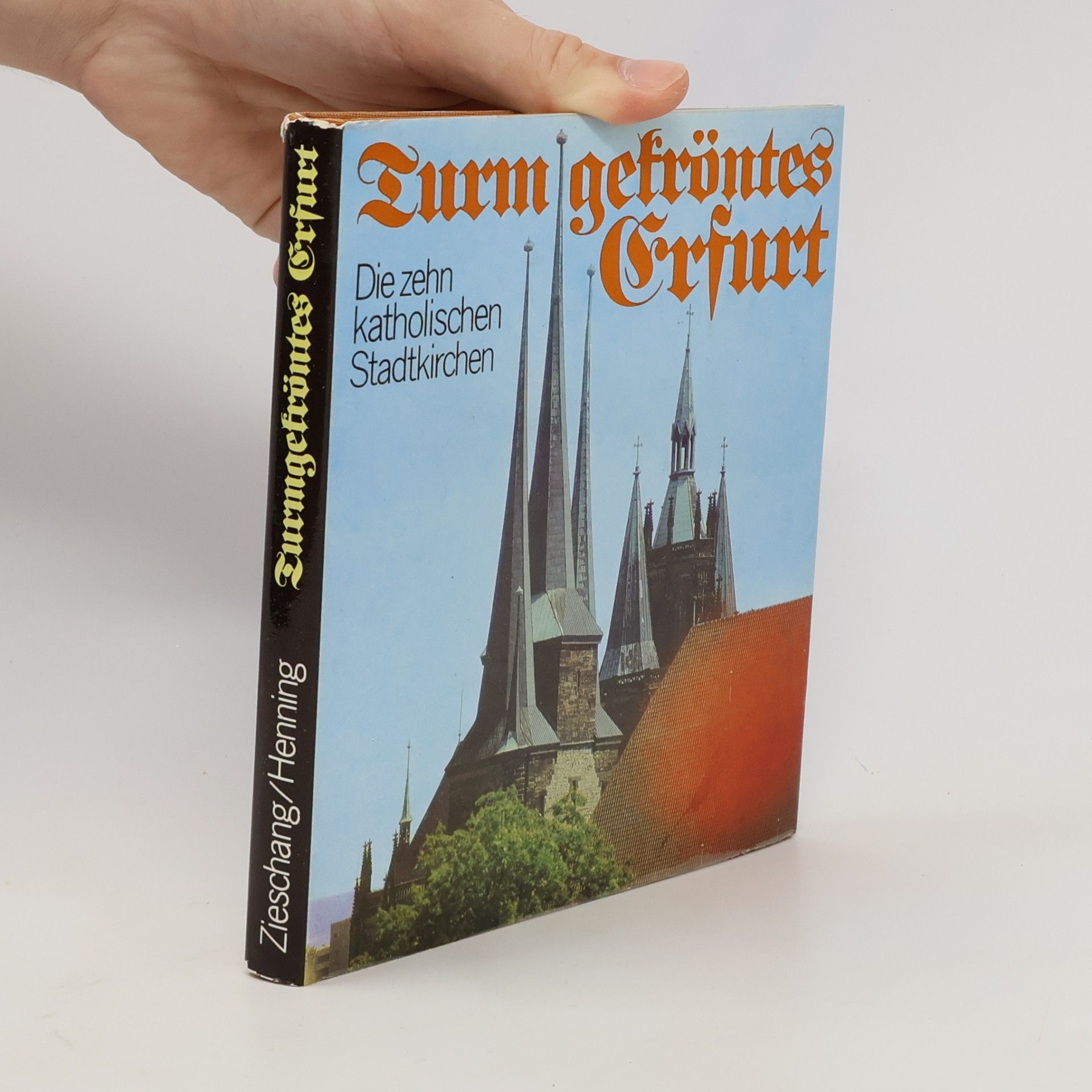 Walter Zieschang Turmgekröntes Erfurt