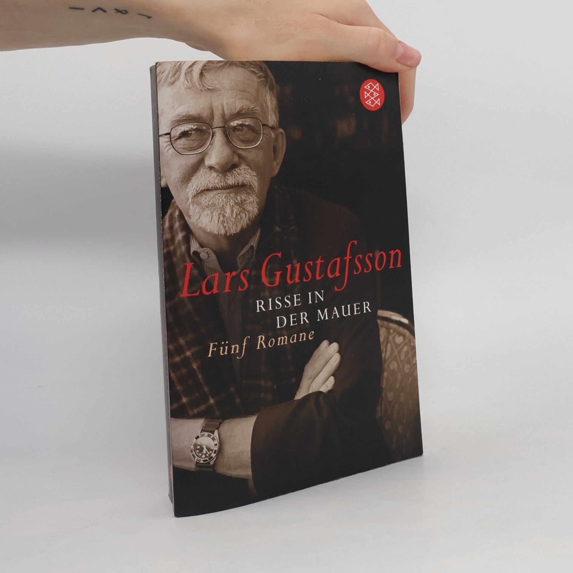 Lars Gustafsson Risse in der Mauer