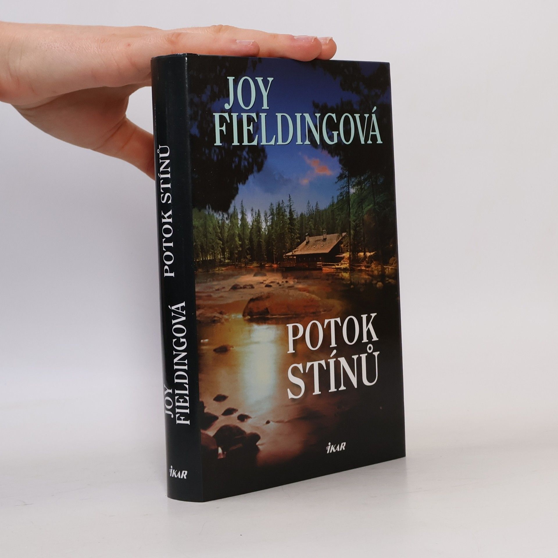 Joy Fielding Potok stínů