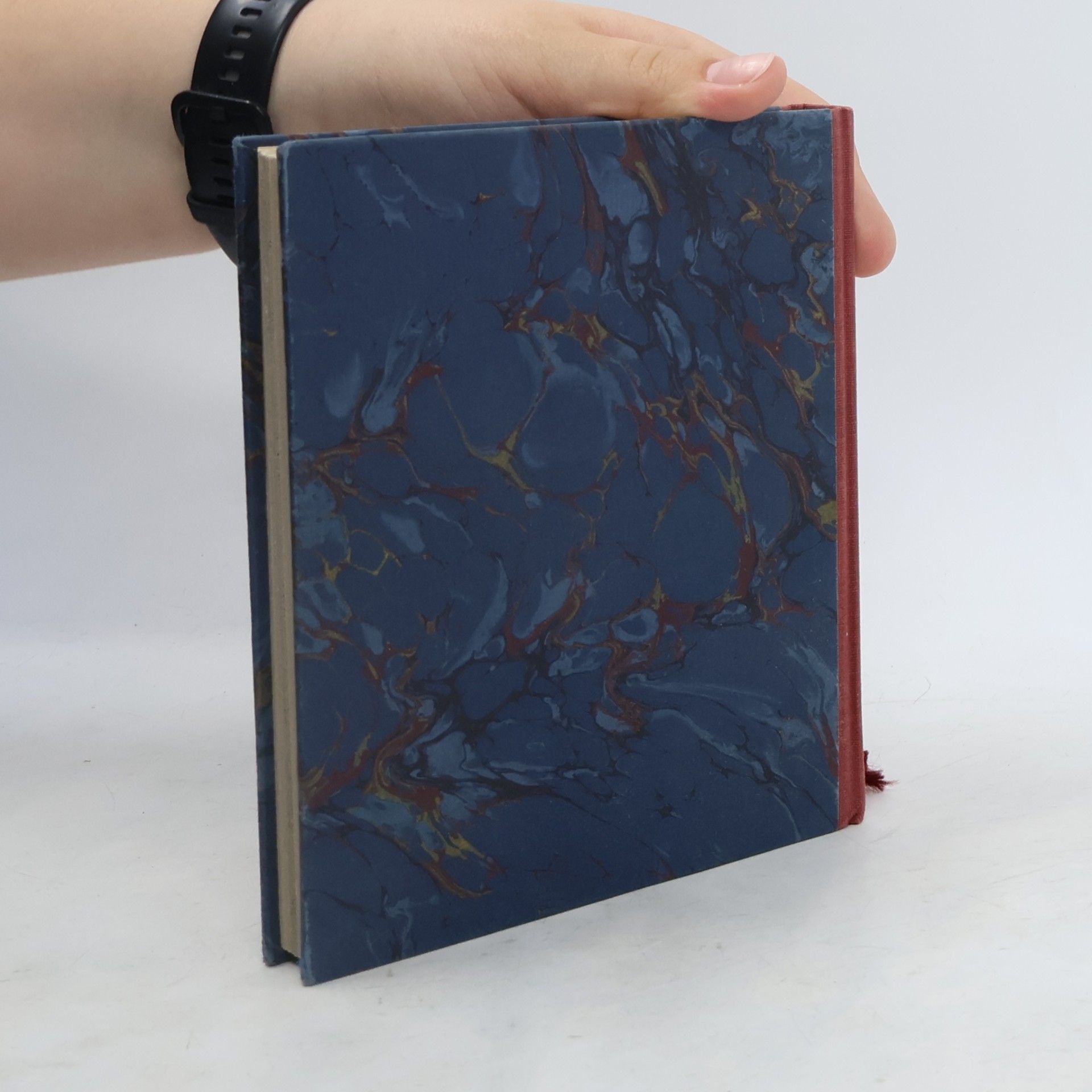 Ralf Plenz Das kleine Märchenbuch