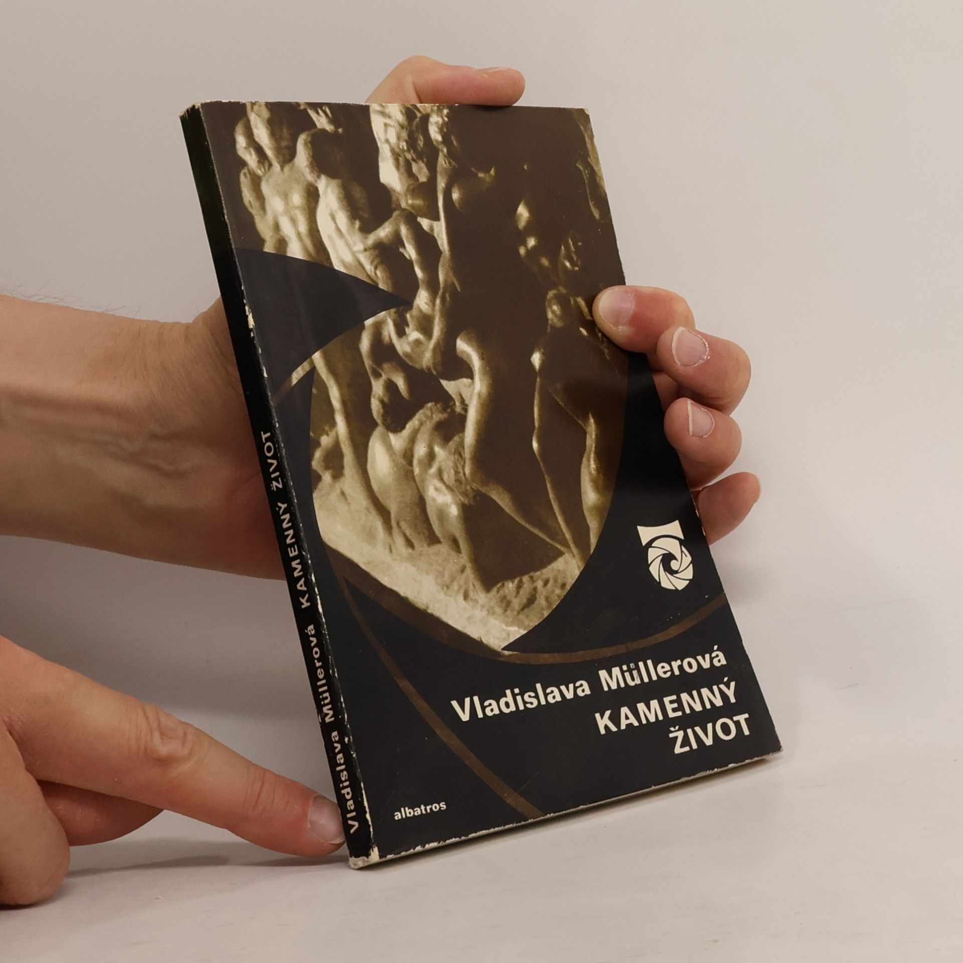 Vladislava Müllerová Kamenný život