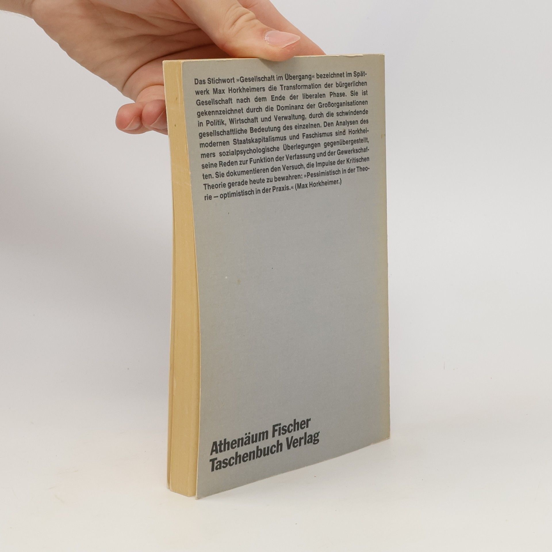 Max Horkheimer Gesellschaft im Übergang