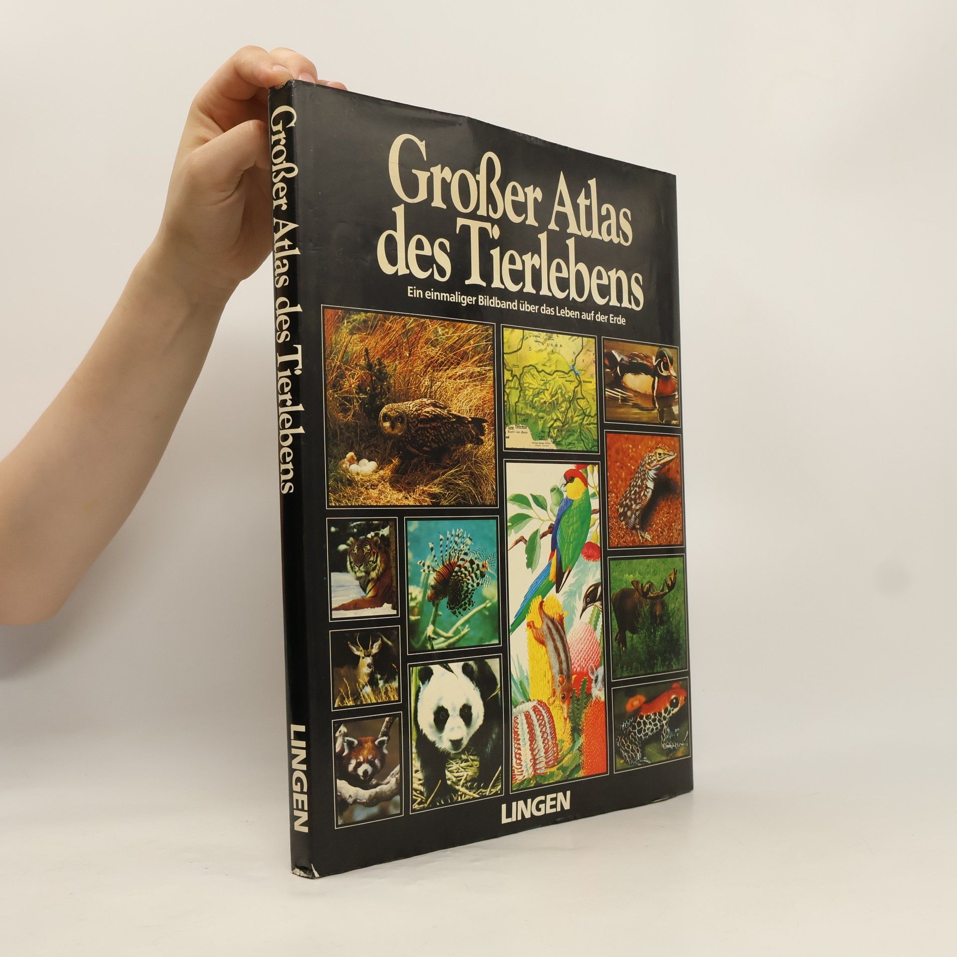 Various authors Großer Atlas des Tierlebens