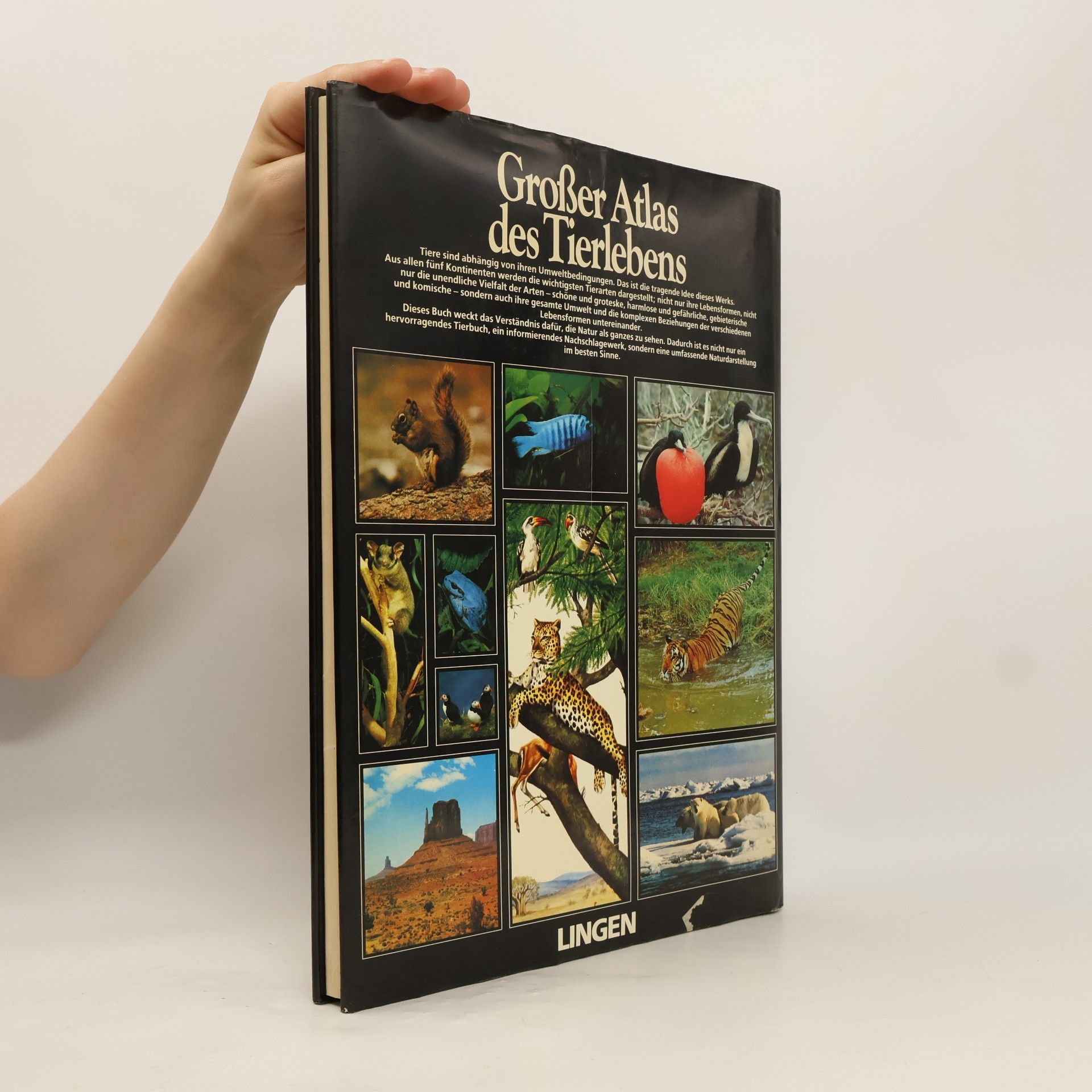 Autorenkollektiv Großer Atlas des Tierlebens