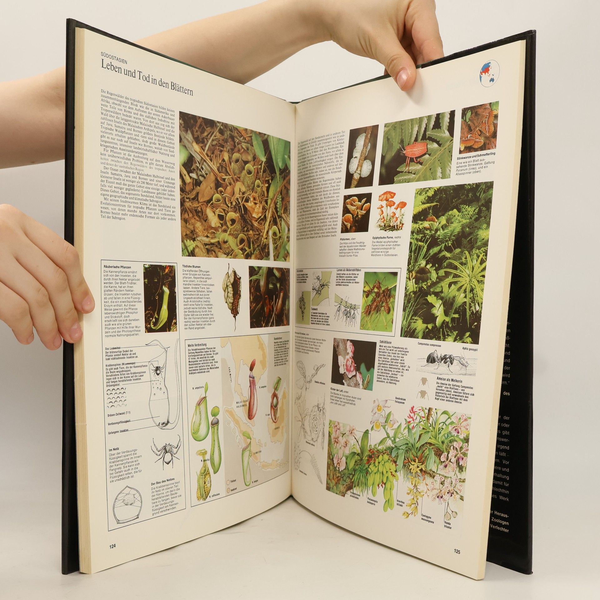 Autorenkollektiv Großer Atlas des Tierlebens