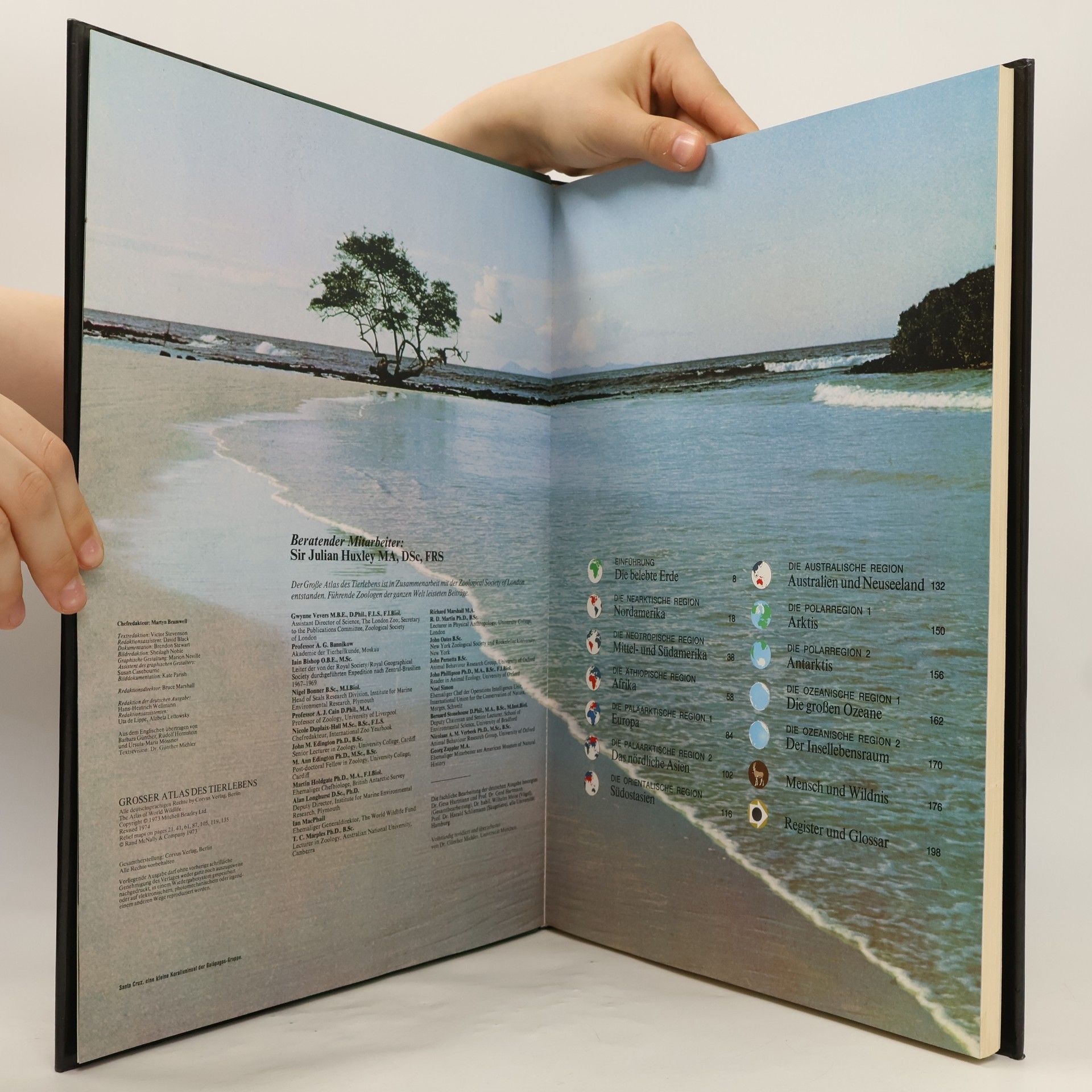 Autorenkollektiv Großer Atlas des Tierlebens