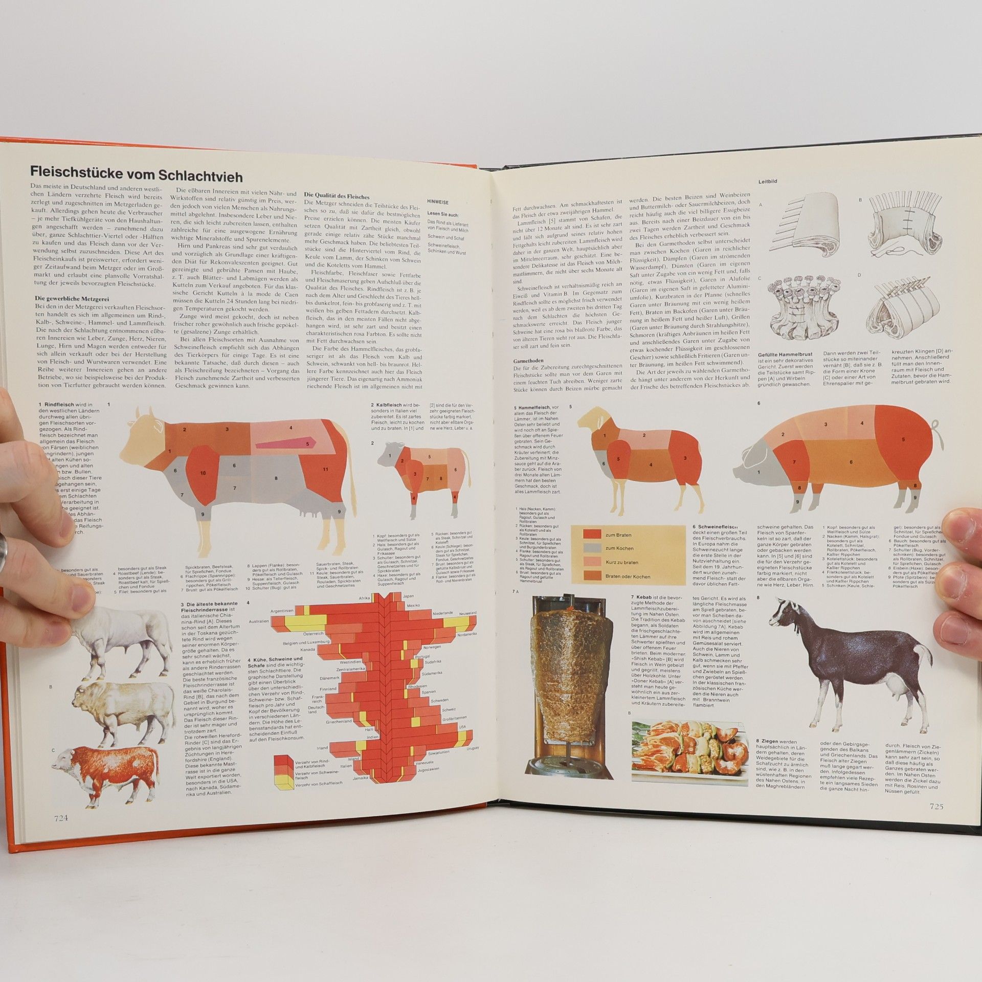 Kolektiv autorů Neue Enzyklopädie des Wissens. Band 13