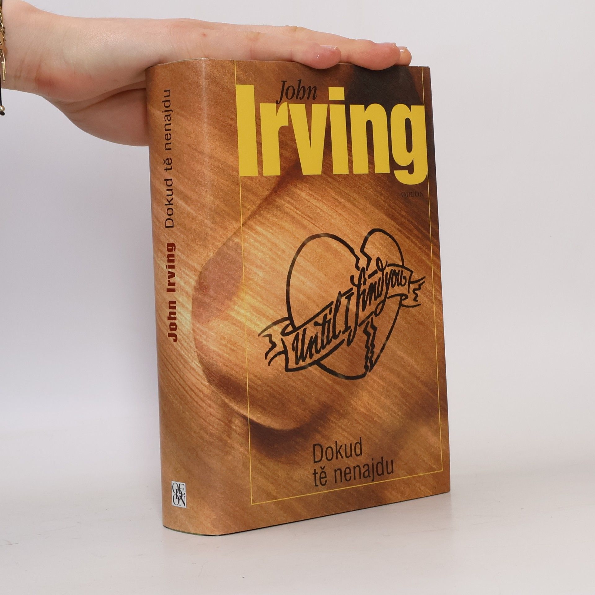 John Irving Dokud tě nenajdu