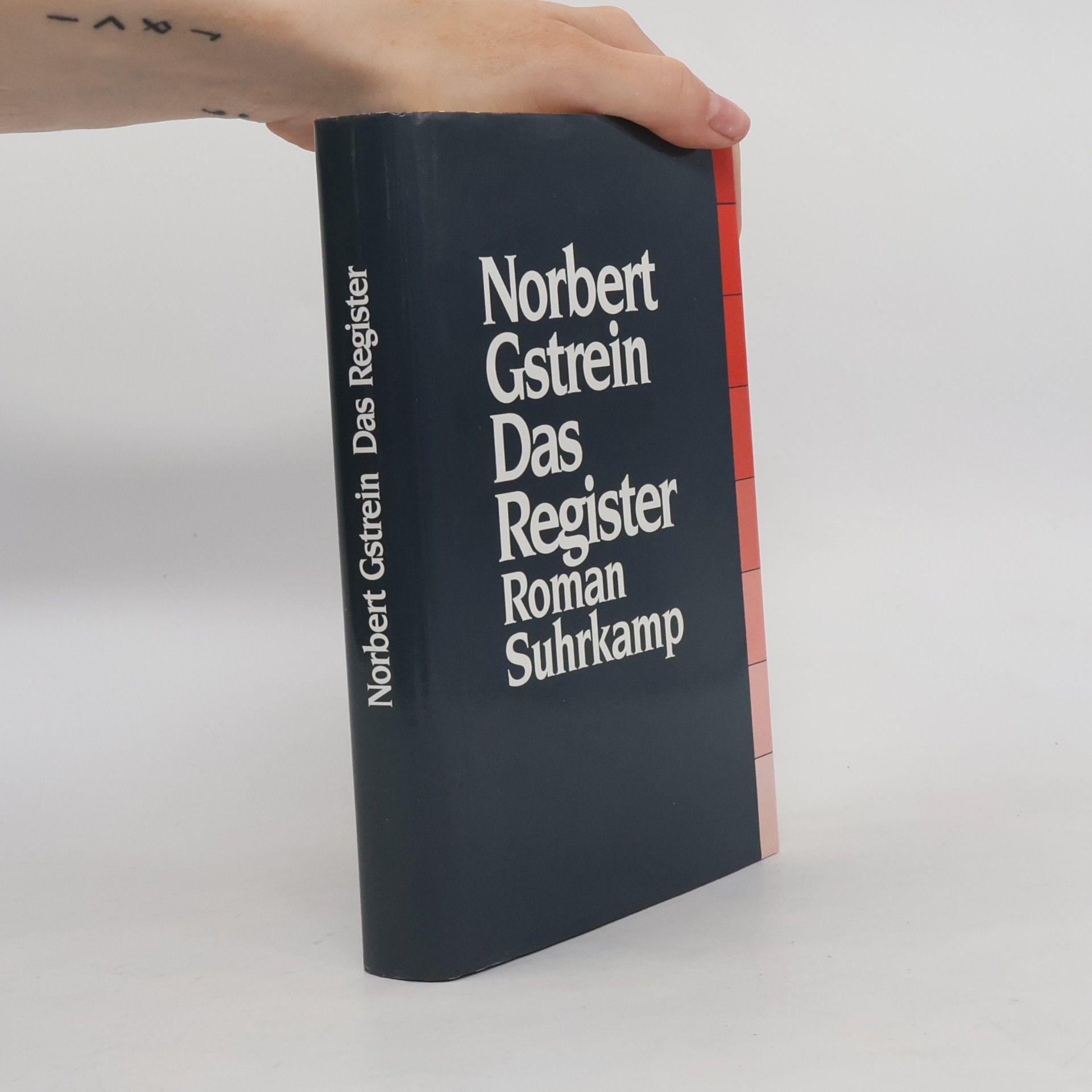 Norbert Gstrein Das Register