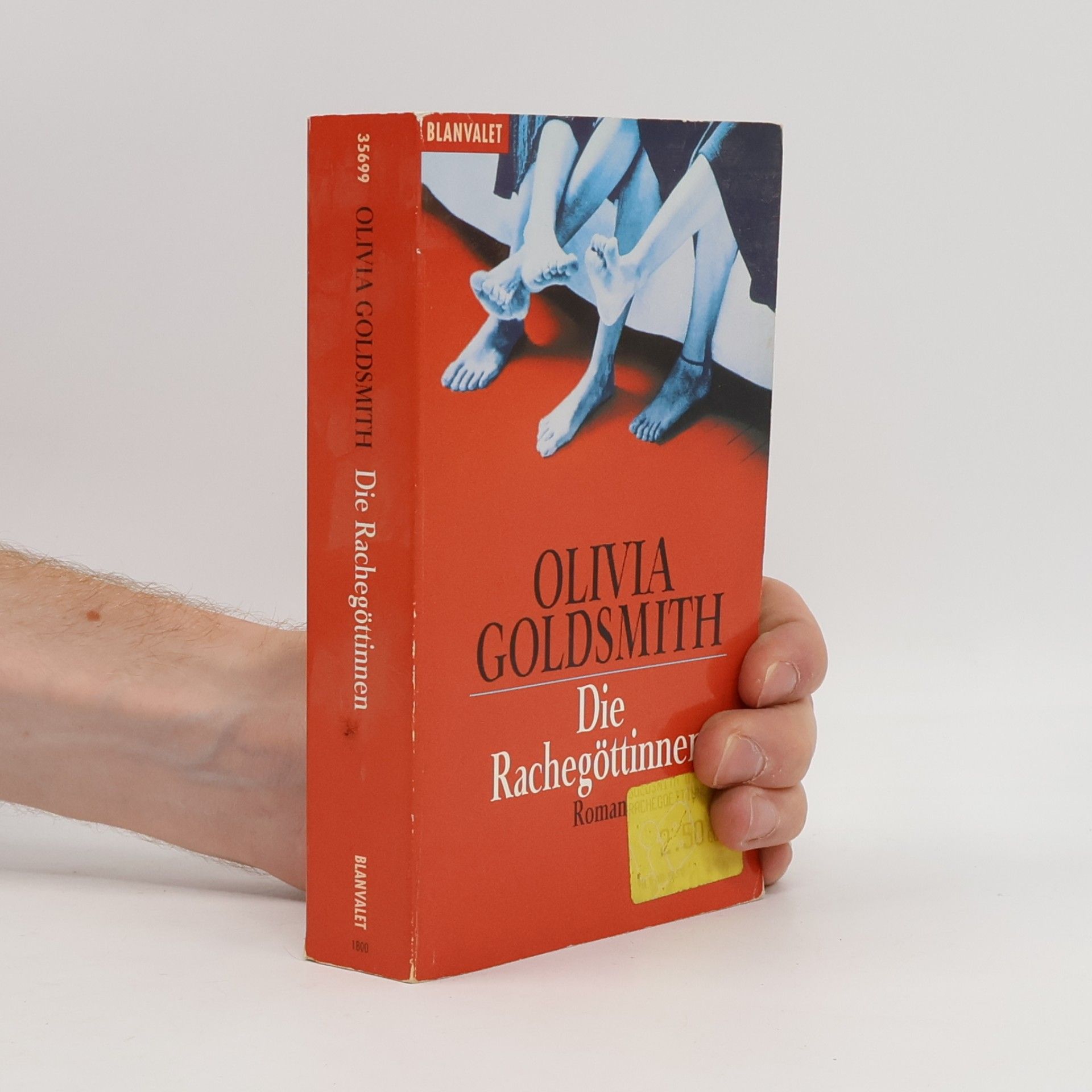 Olivia Goldsmith Die Rachegöttinnen