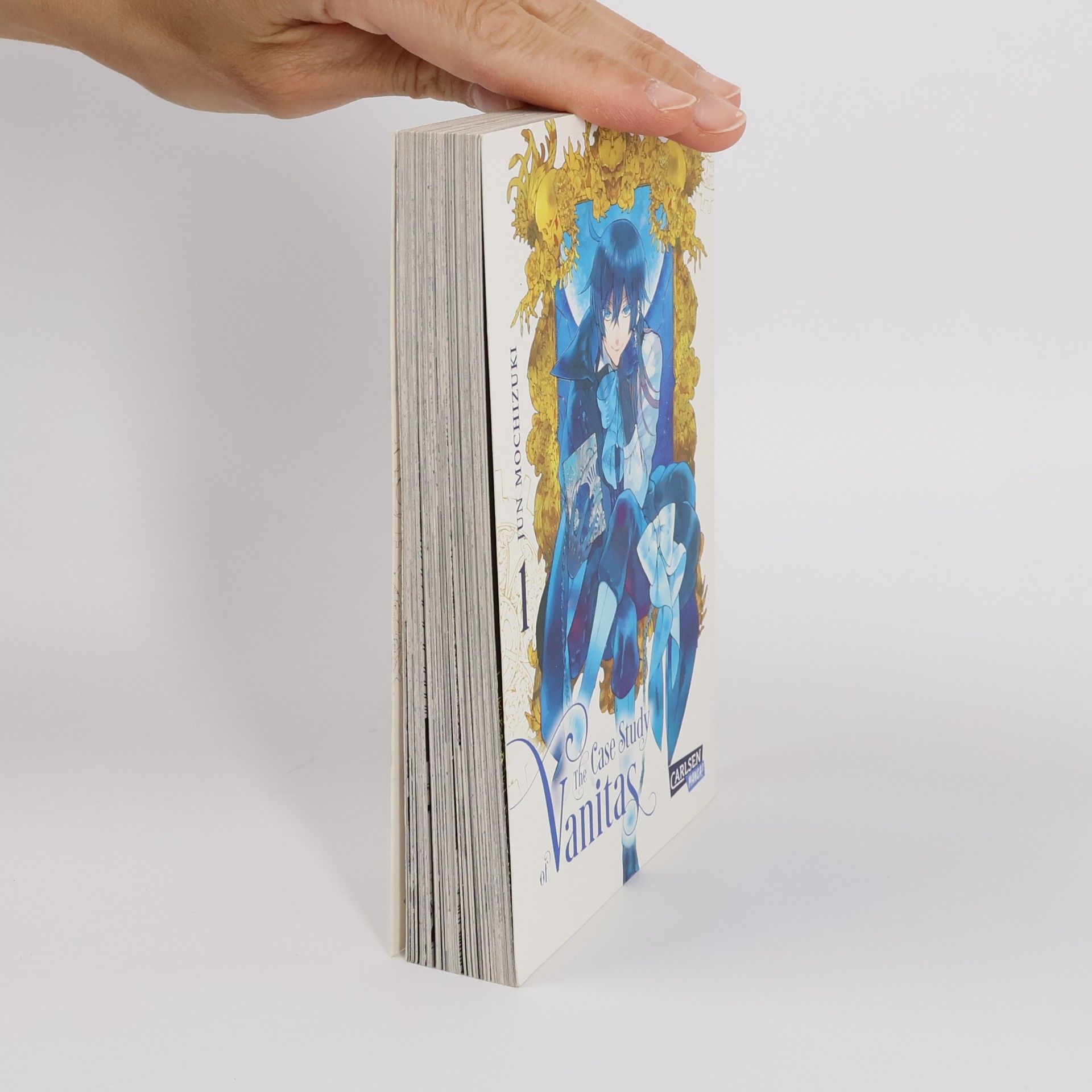 Jun Mochizuki The case study of Vanitas 1