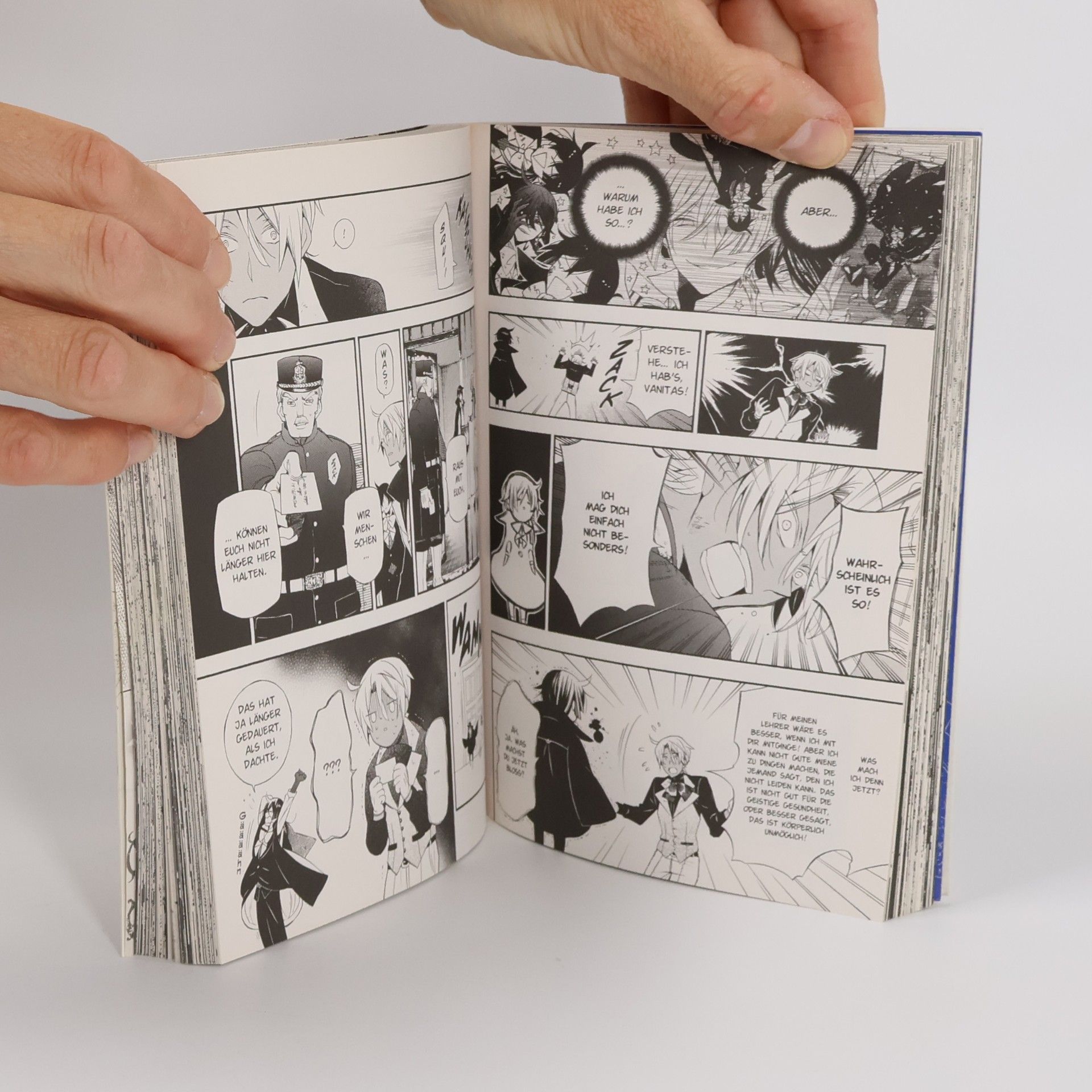 Jun Mochizuki The case study of Vanitas 1