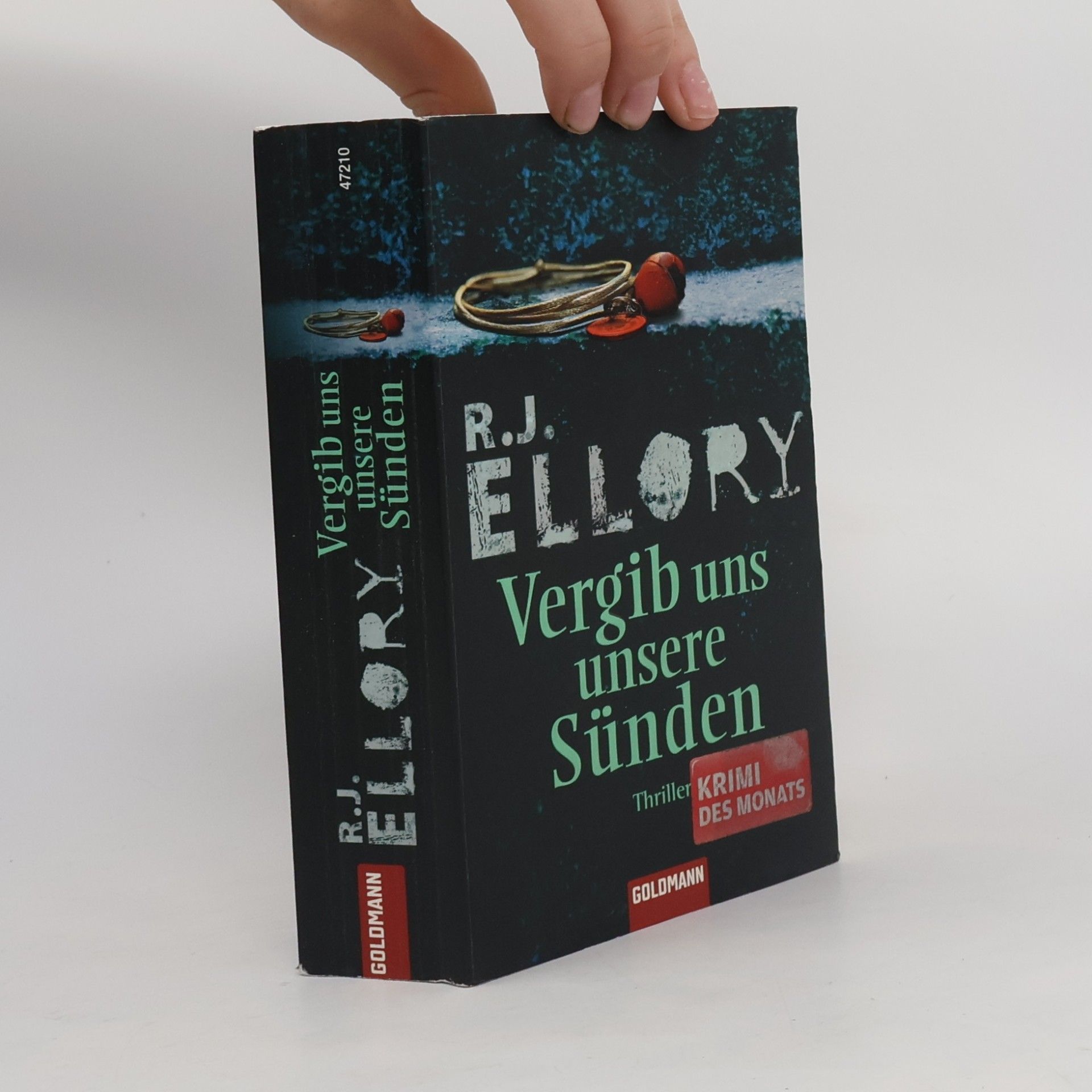 R. J. Ellory Vergib uns unsere Sünden