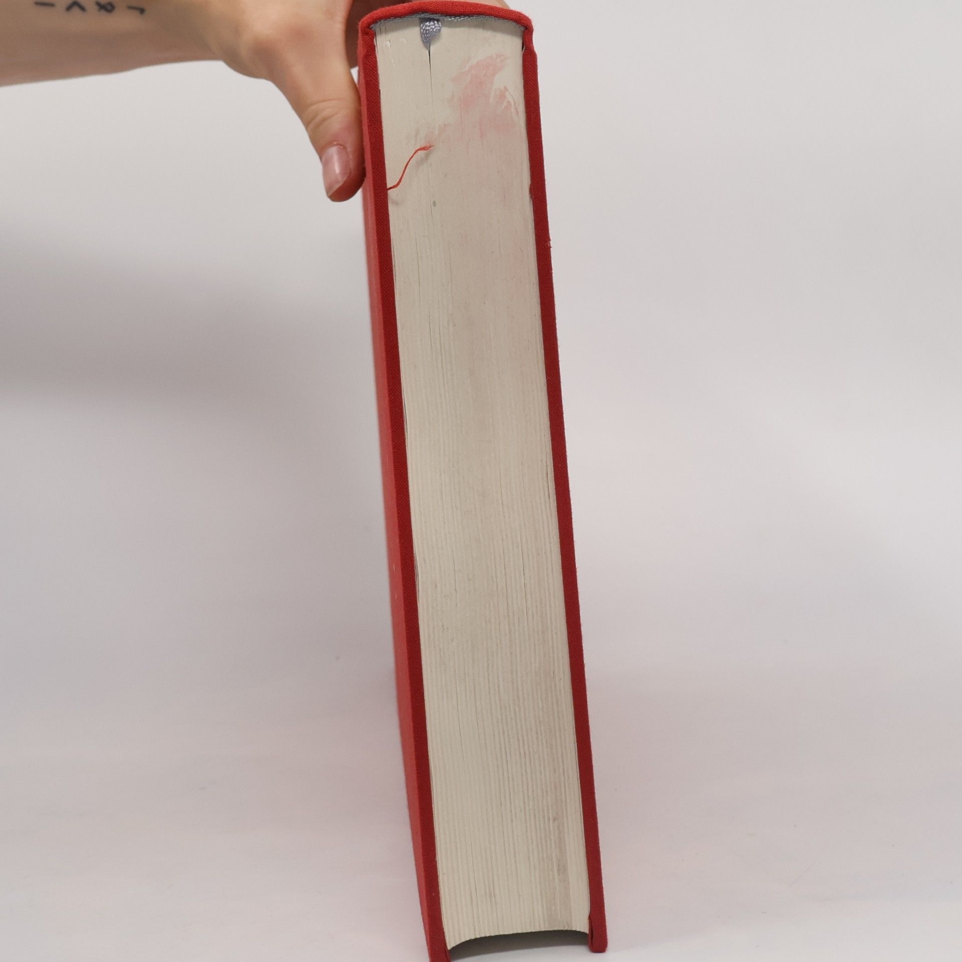 Anette Selg Die Welt der Encyclopédie