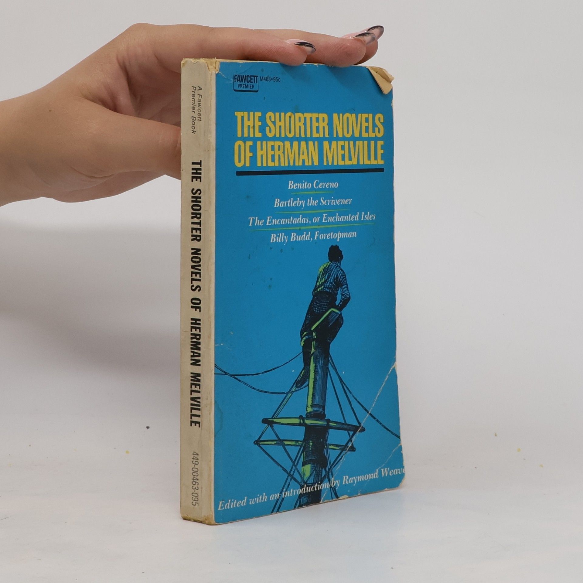 Autorenkollektiv The Shorter Novels of Herman Melville
