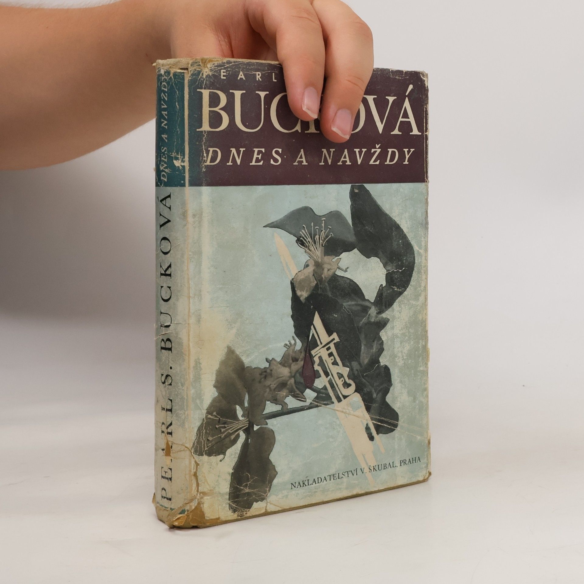 Pearl S. Buck Dnes a navždy