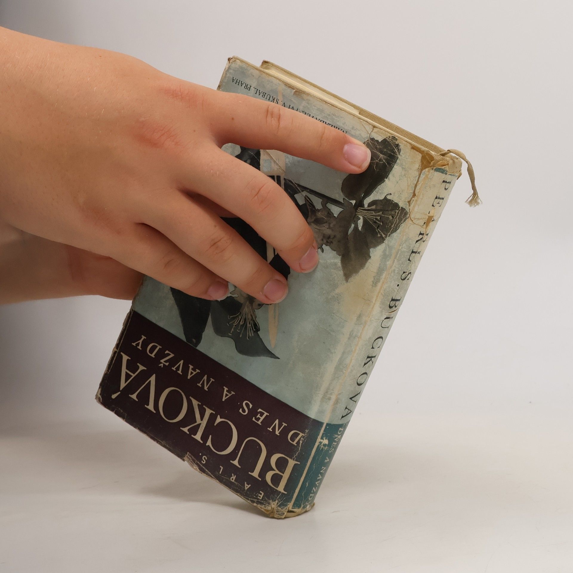 Pearl S. Buck Dnes a navždy