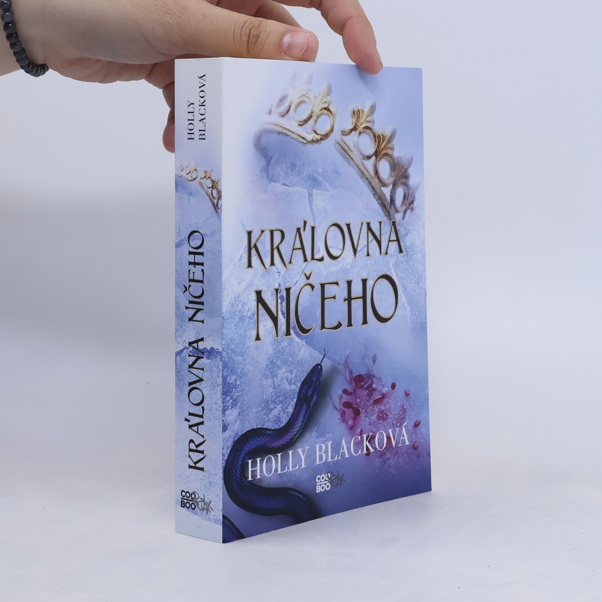 Holly Black Královna ničeho
