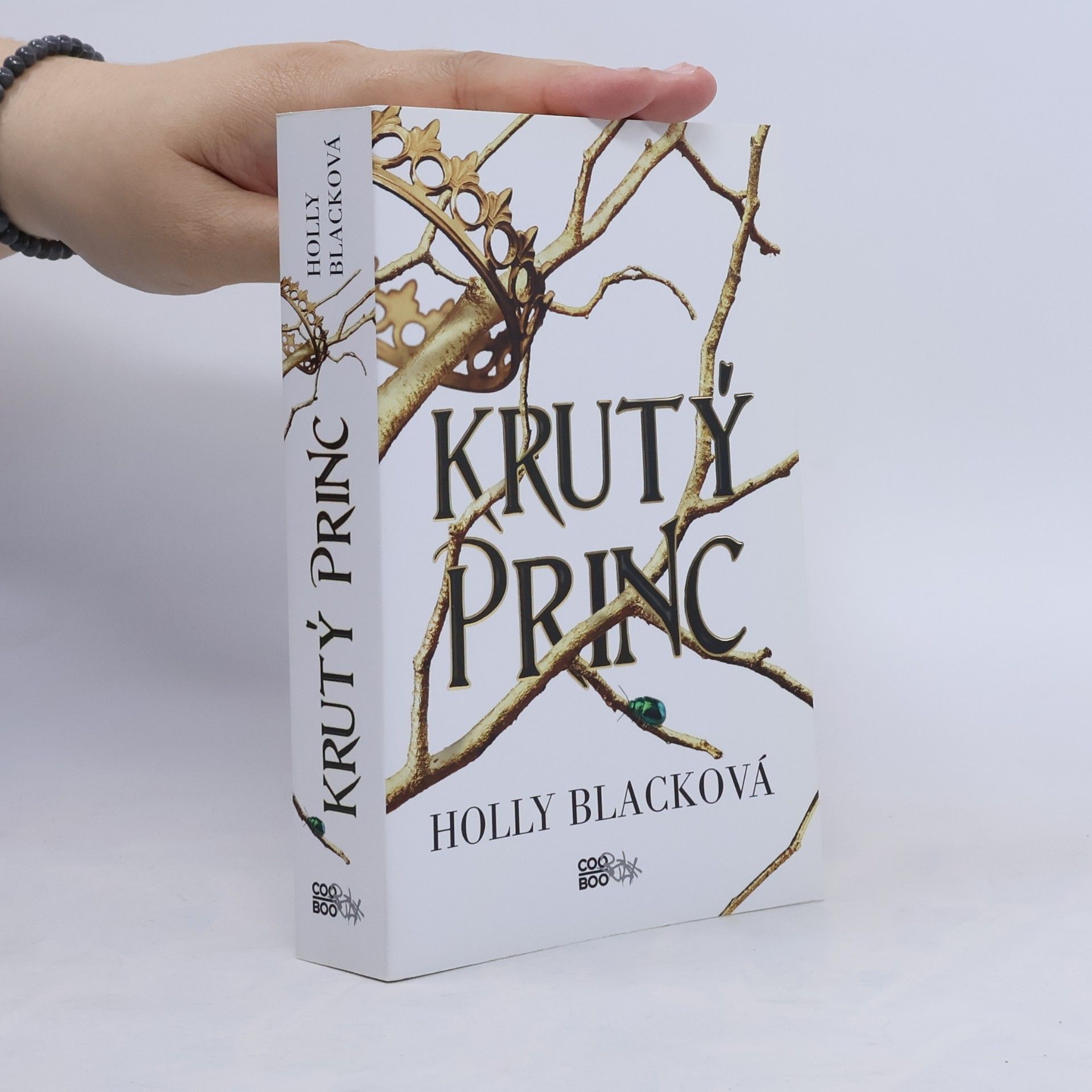 Holly Black Krutý princ