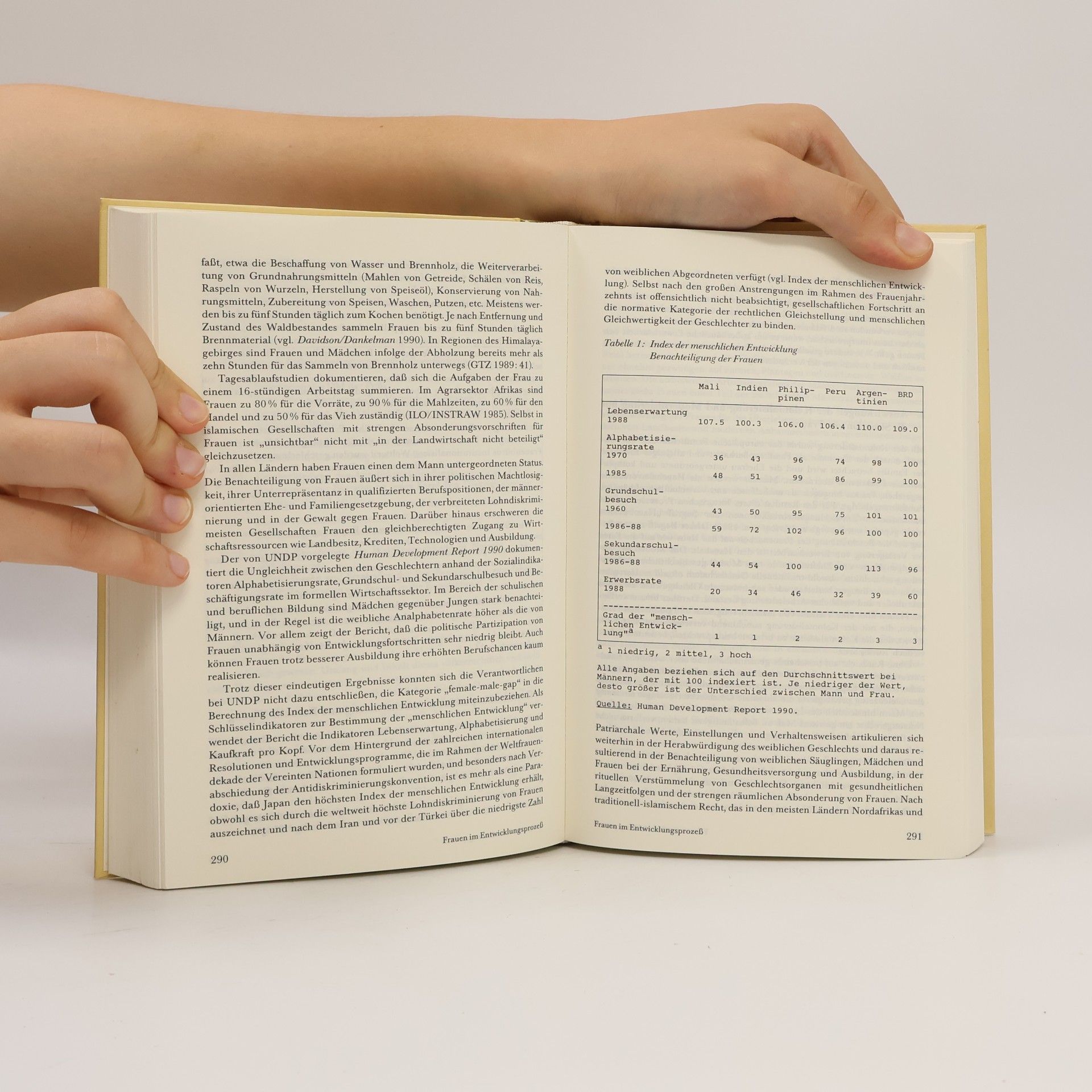 Dieter Nohlen Handbuch der Dritten Welt. 1, Grundprobleme, Theorien, Strategien