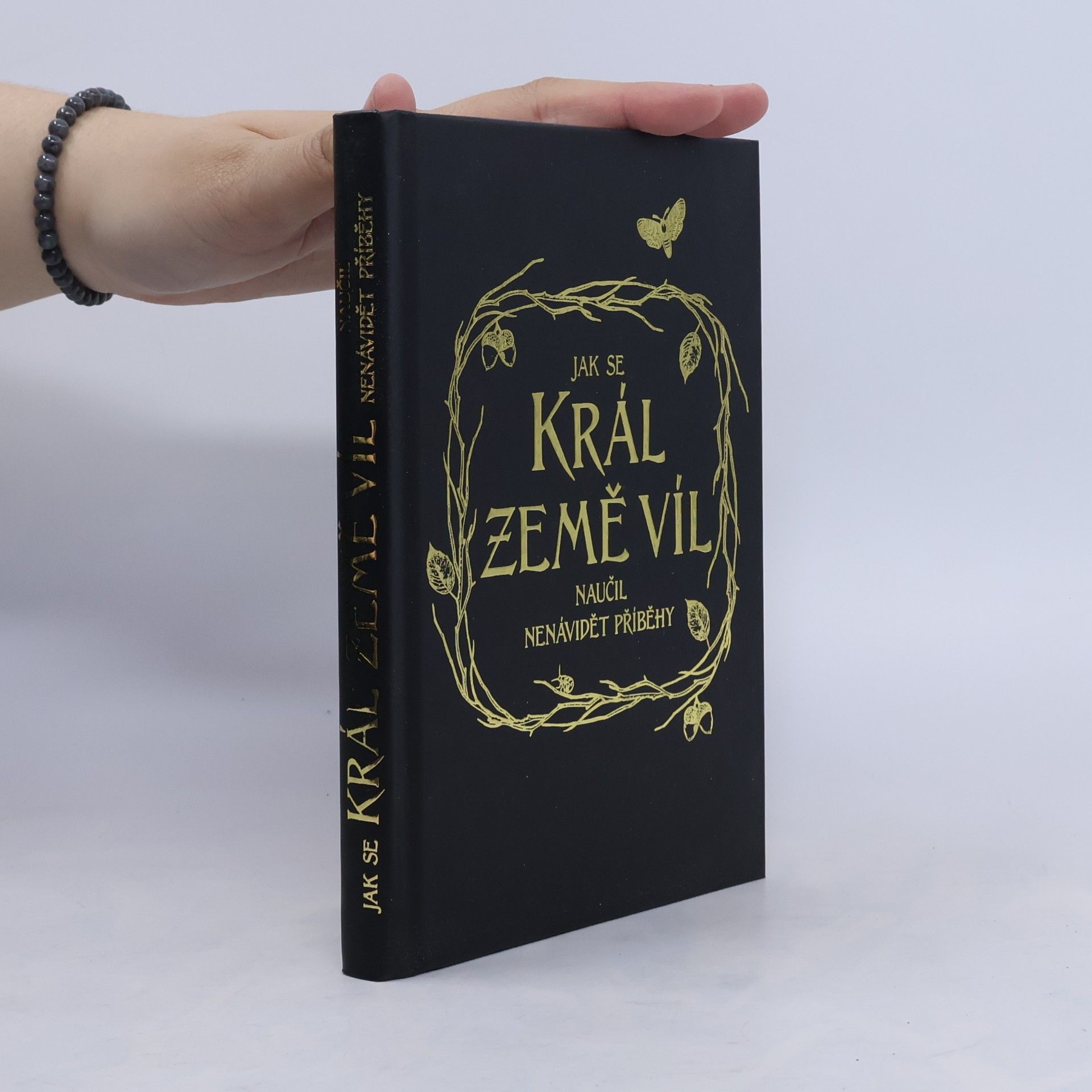 Holly Black Jak se král Země víl naučil nenávidět příběhy