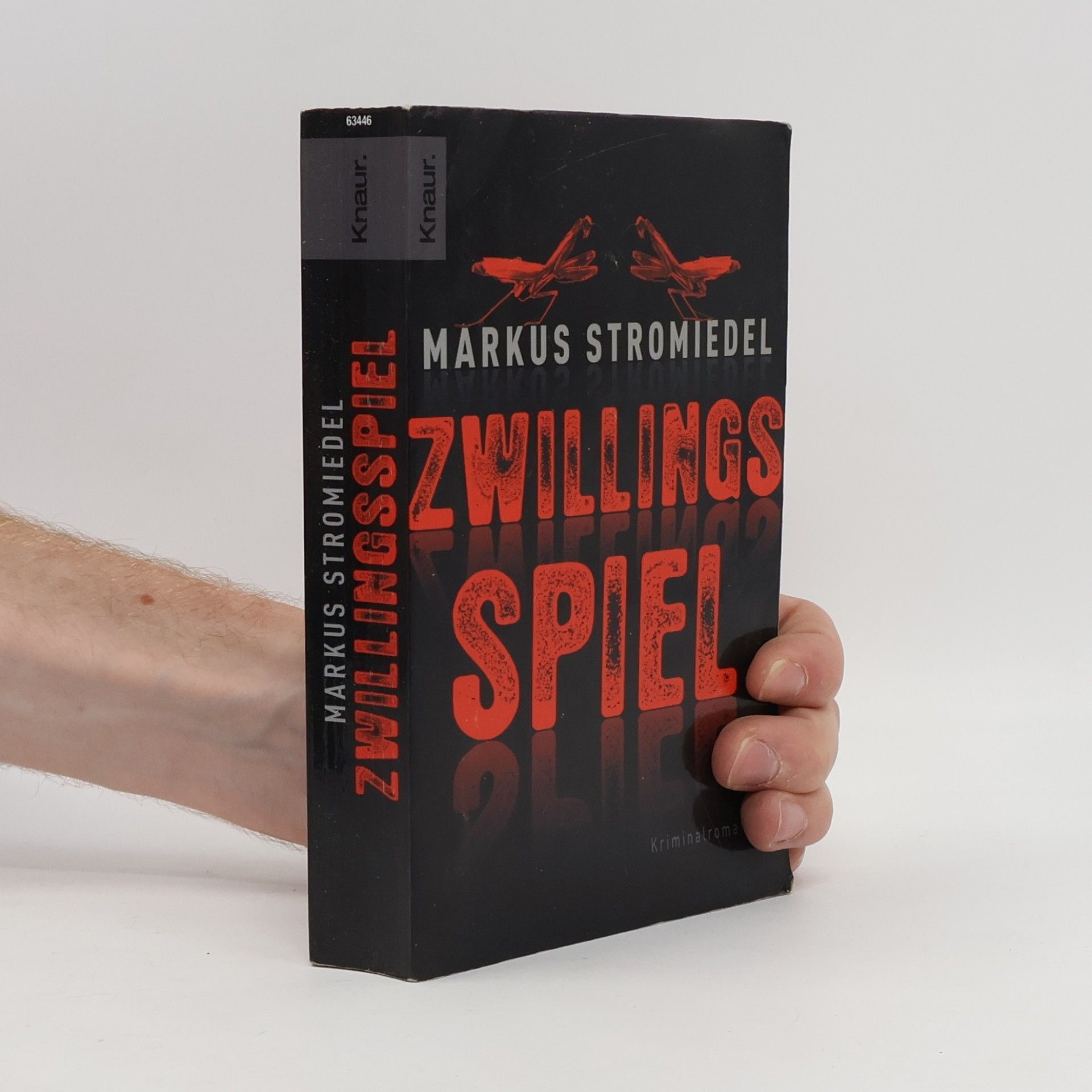 Markus Stromiedel Zwillingsspiel