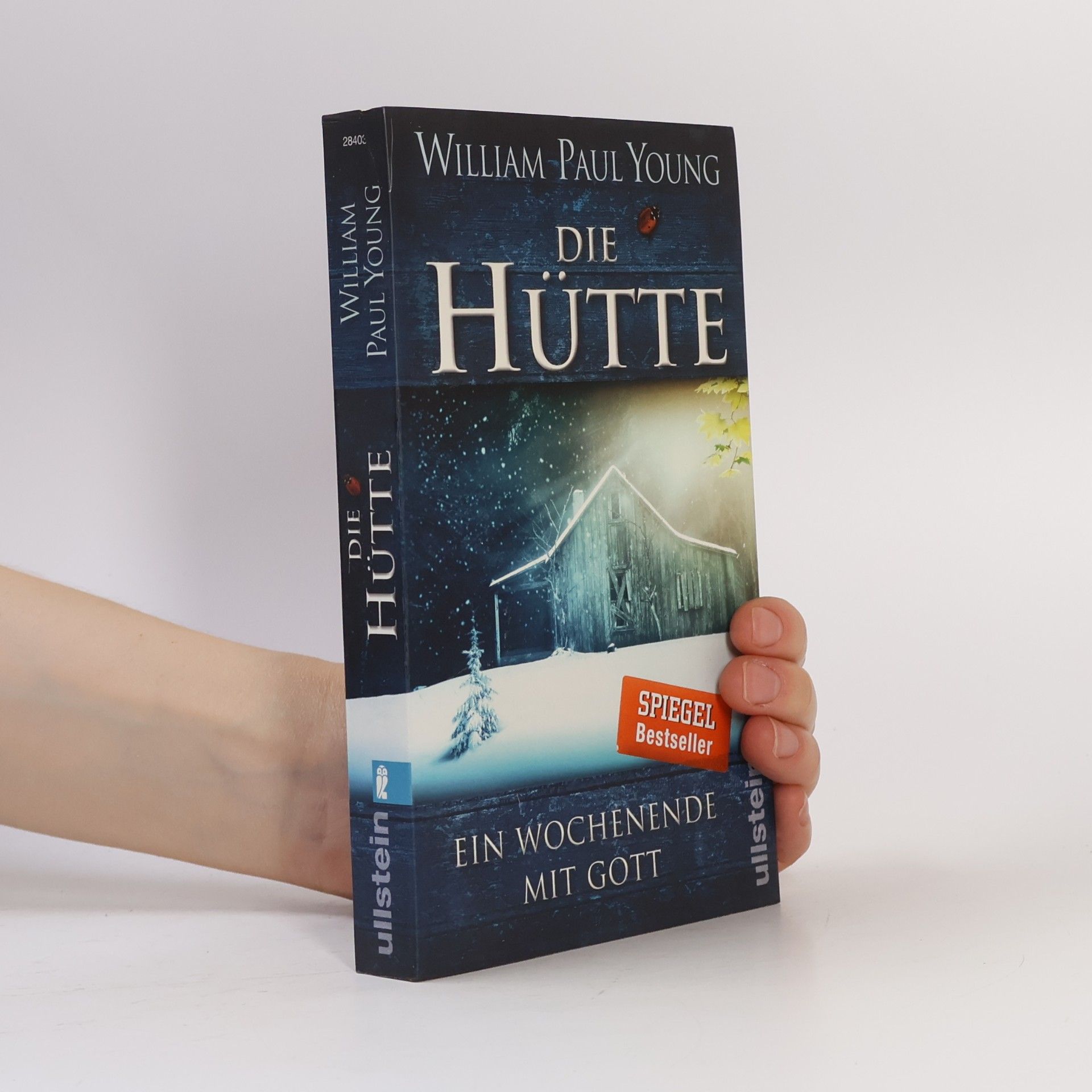 William P. Young Die Hütte