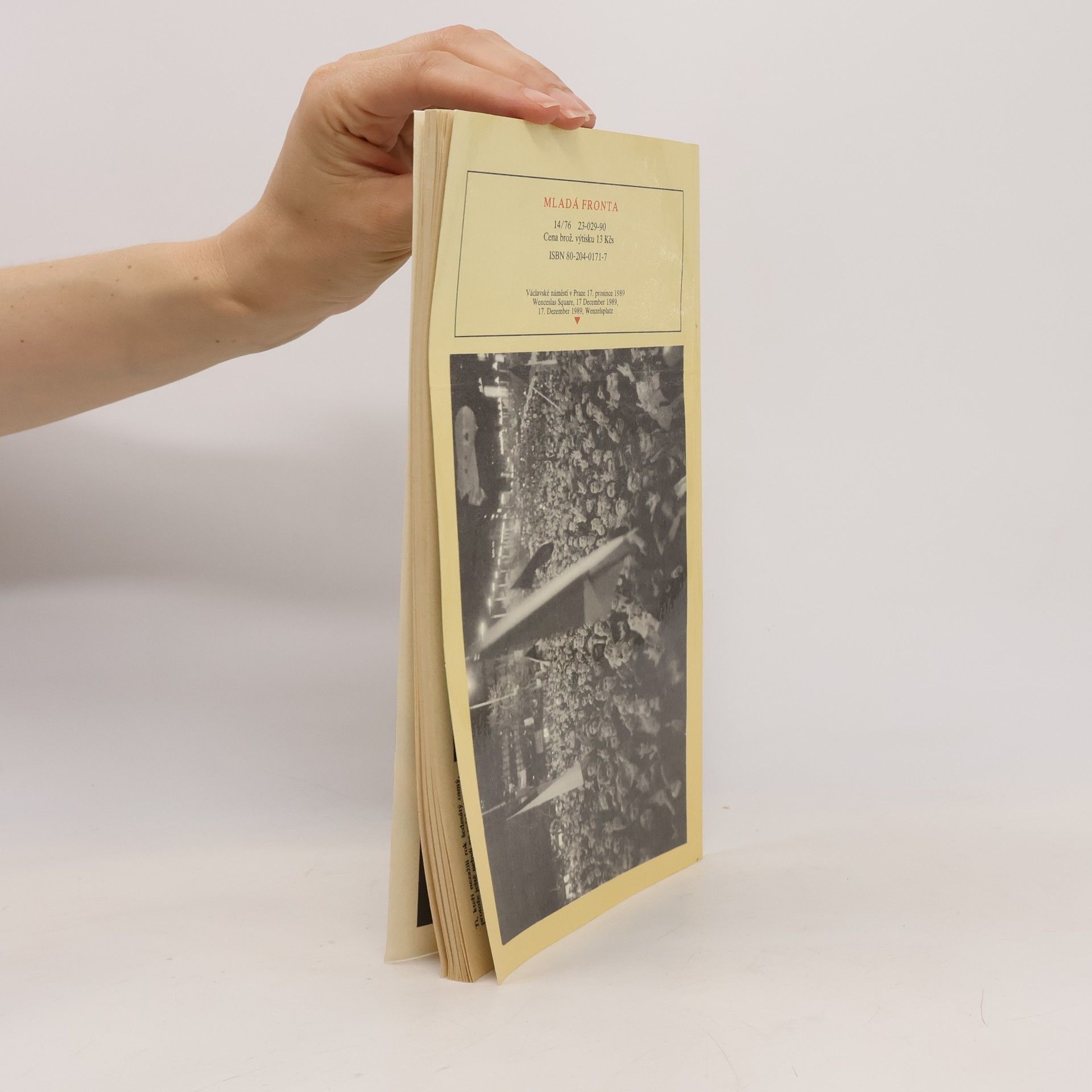 Collectif d'auteurs Svědectví pražských zdí: 17.11.-17.12.1989