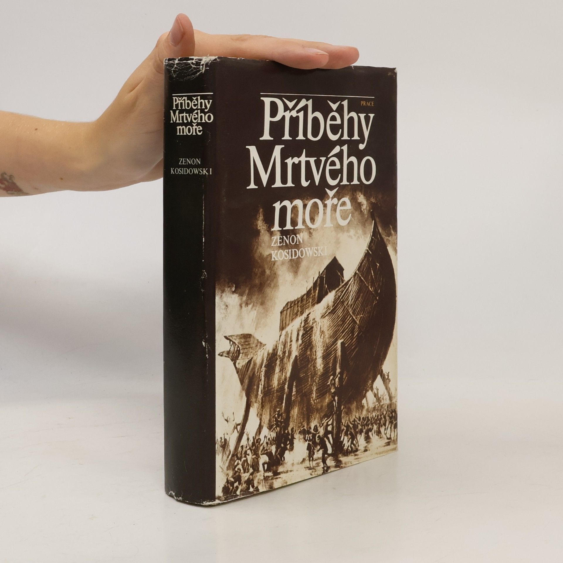 Zenon Kosidowski Příběhy Mrtvého moře