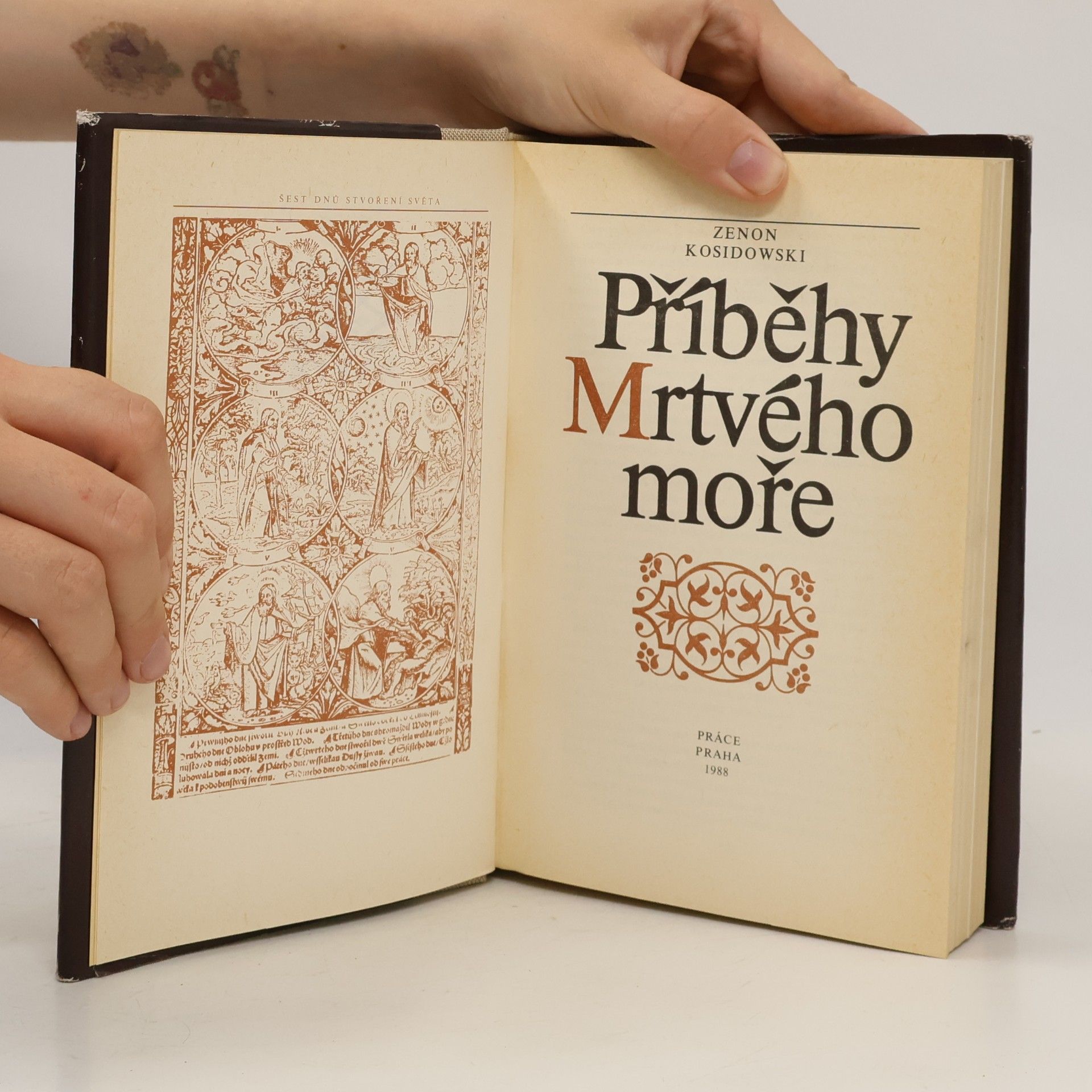 Zenon Kosidowski Příběhy Mrtvého moře
