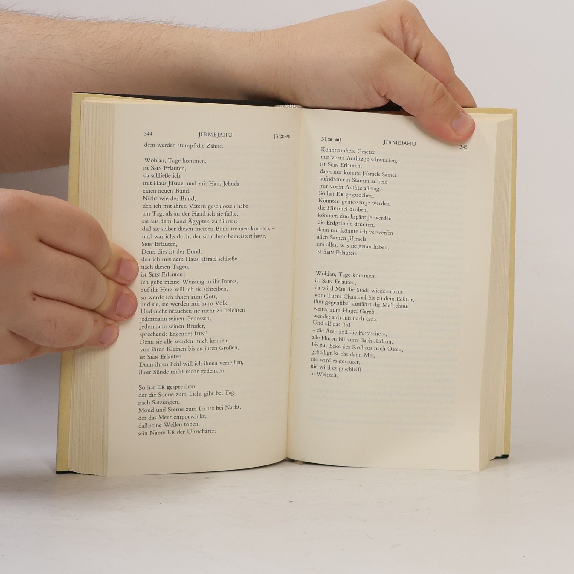 Martin Buber Bücher der Kündung