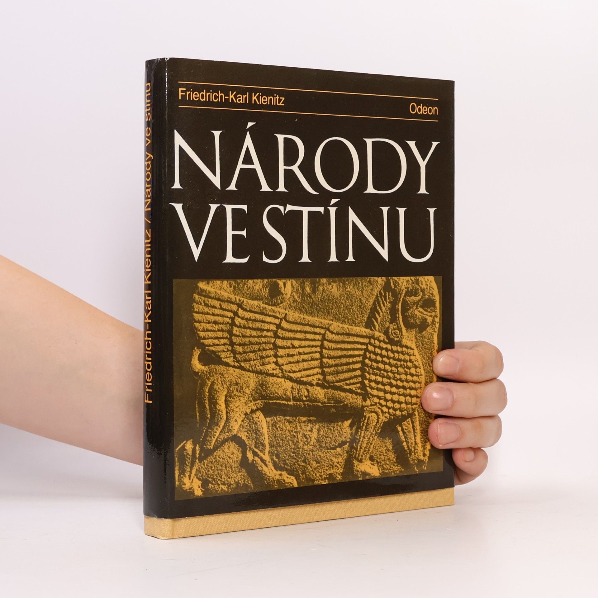 Friedrich Karl Kienitz Národy ve stínu