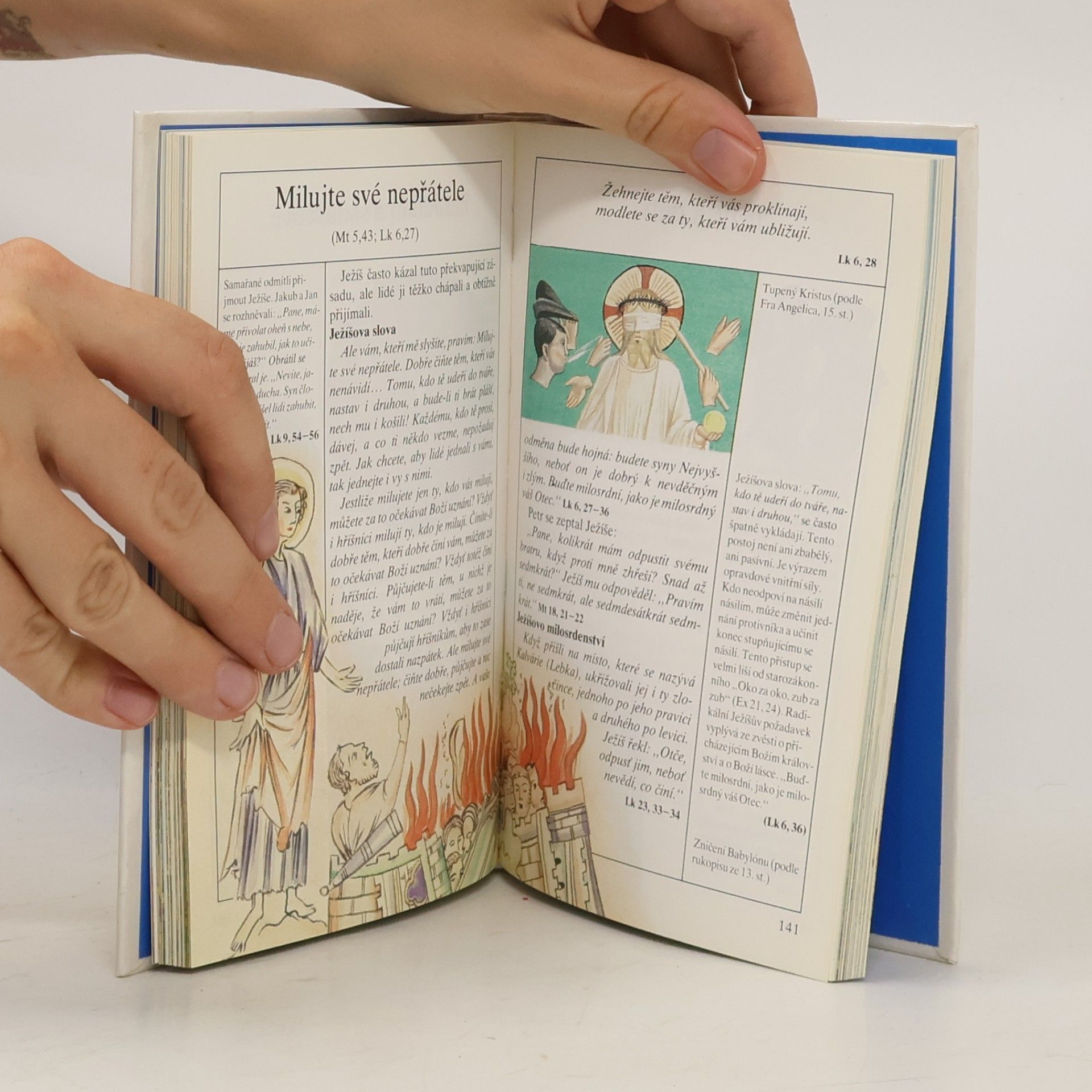 Autorenkollektiv Kniha o Bibli. Nový zákon