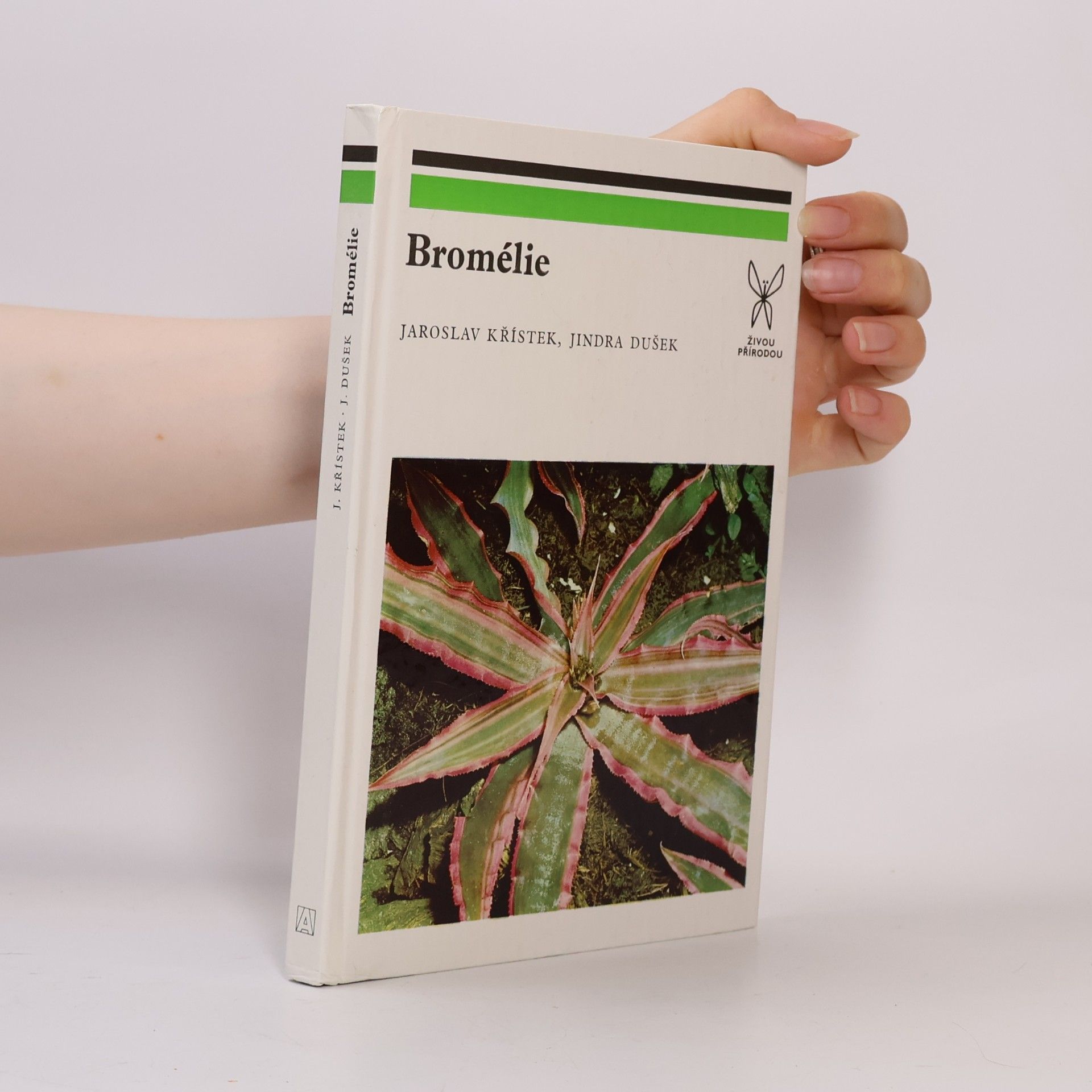 Jiří Ledr Bromélie