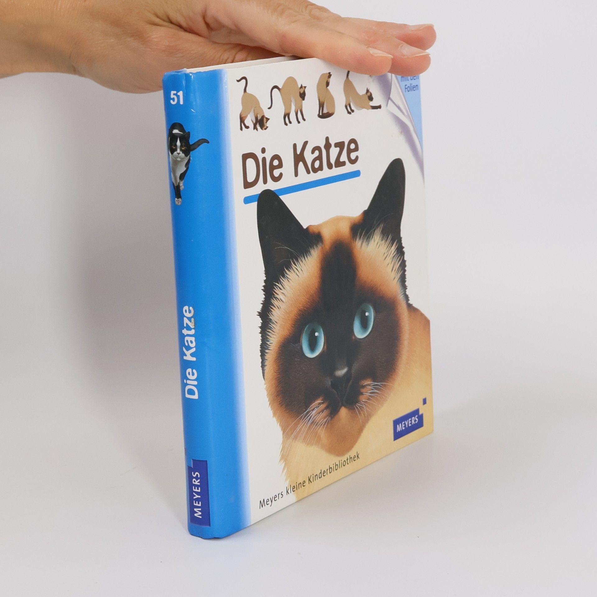 Pascale de Bourgoing Die Katze