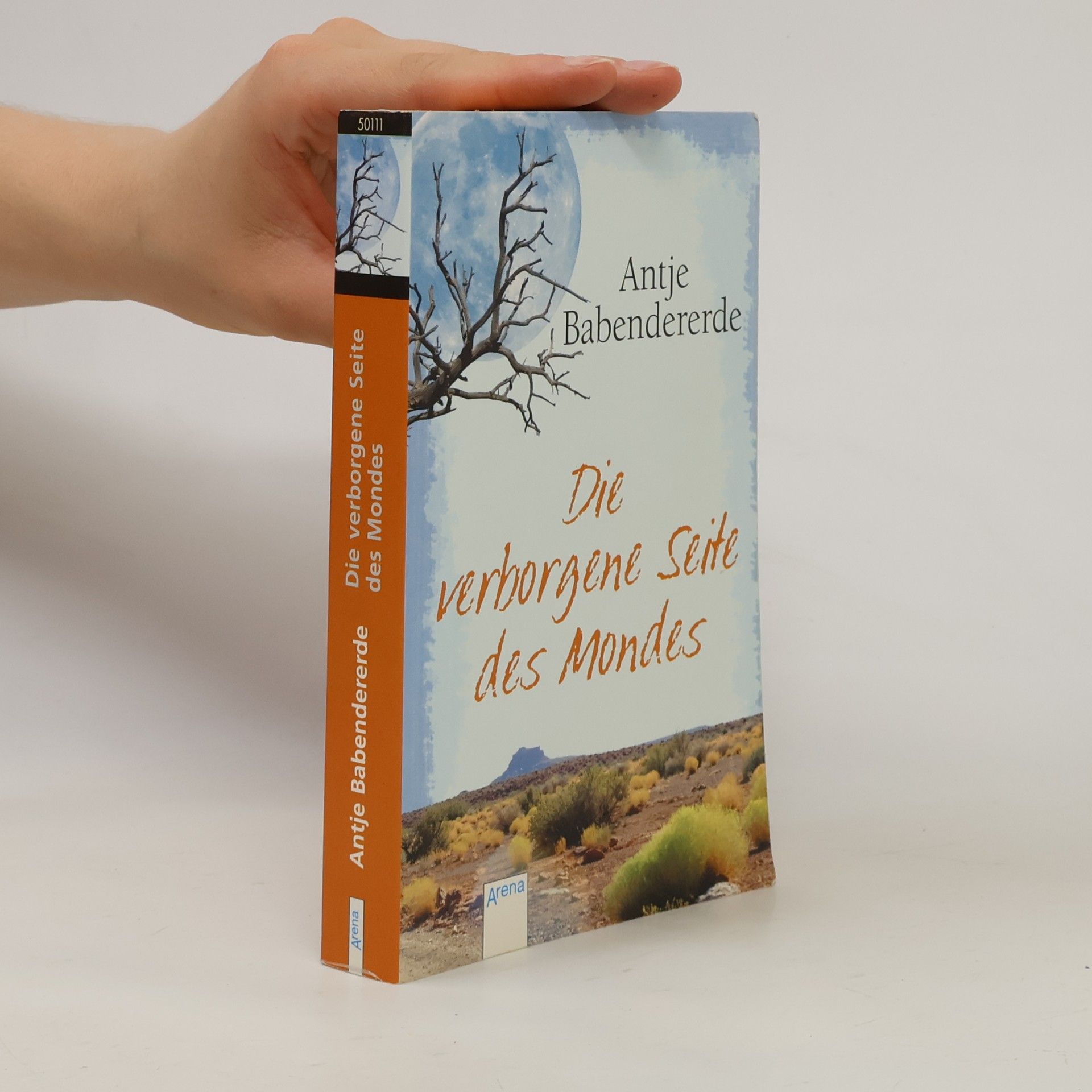 Antje Babendererde Die verborgene Seite des Mondes