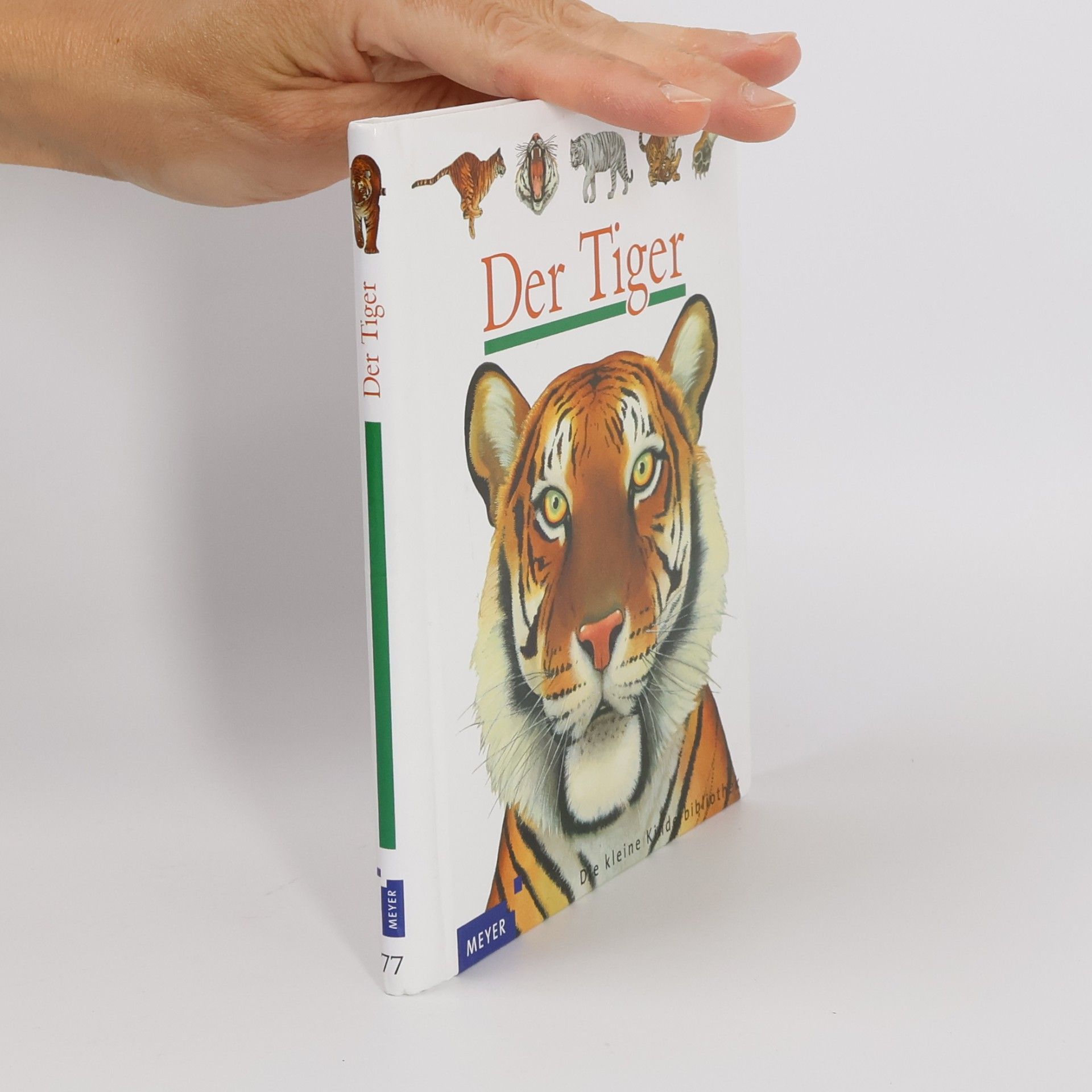 Sylvaine Peyrols Der Tiger