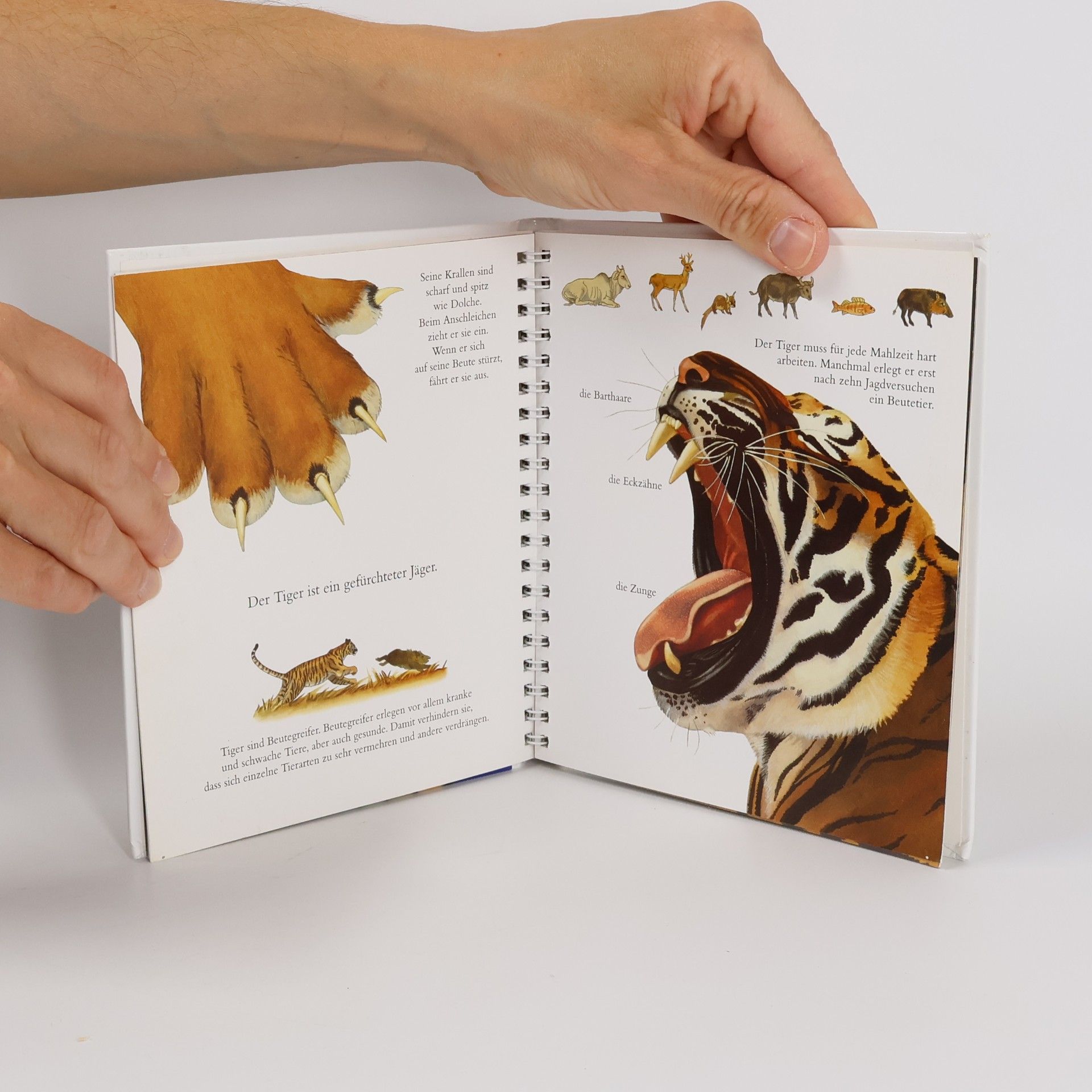 Sylvaine Peyrols Der Tiger
