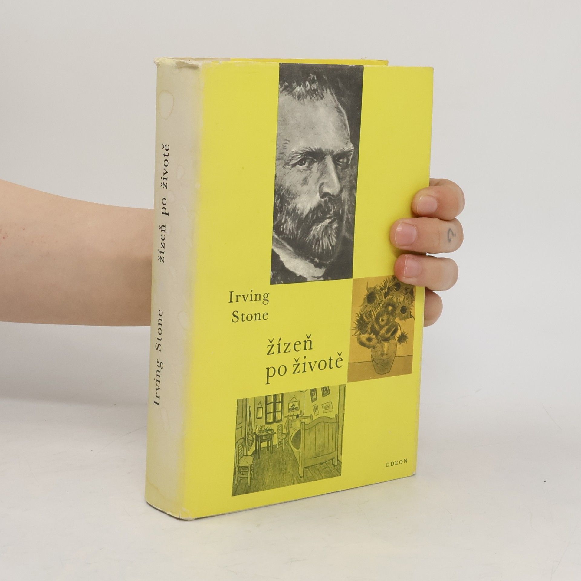 Irving Stone Žízeň po životě