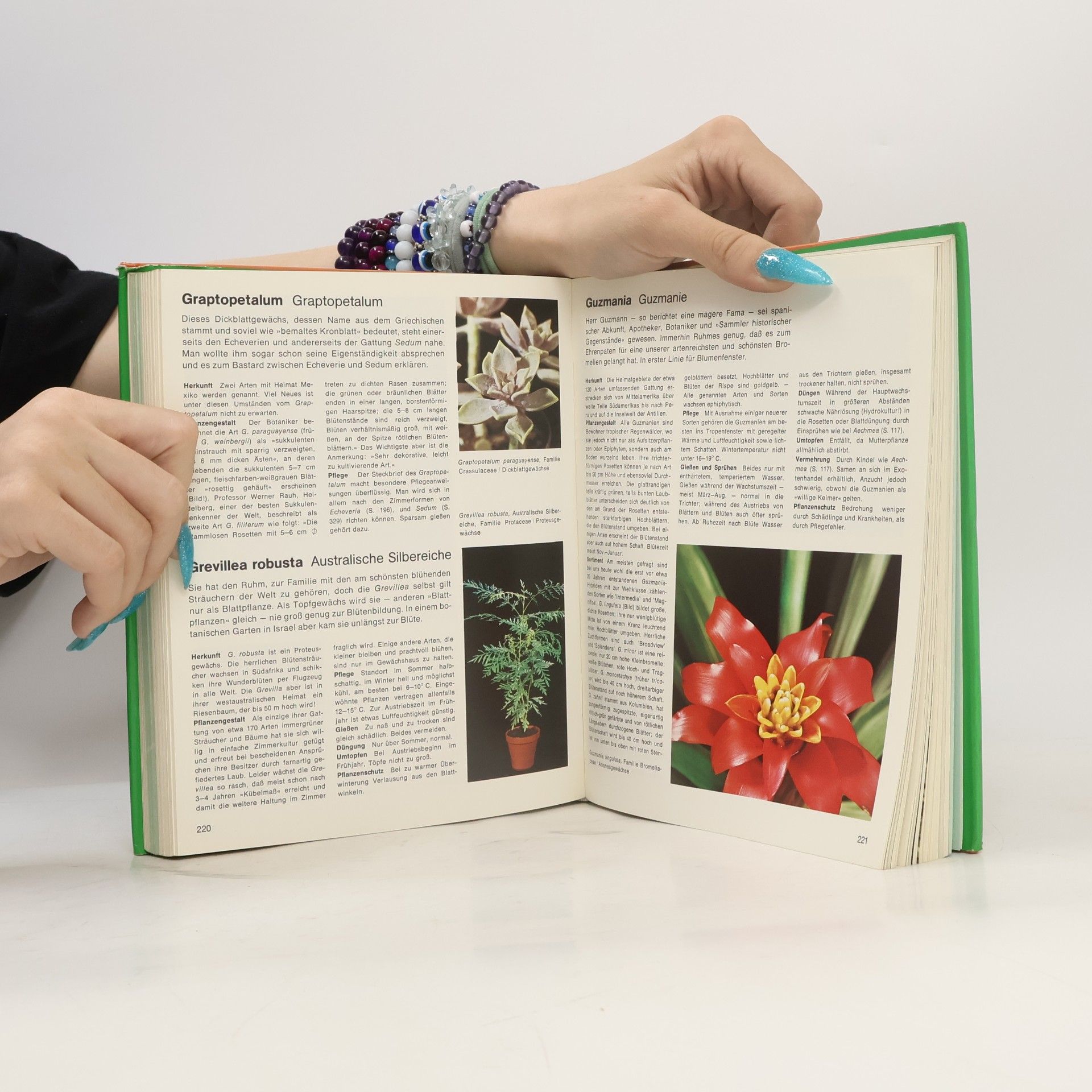 Margot Schubert Wohnen mit Blumen