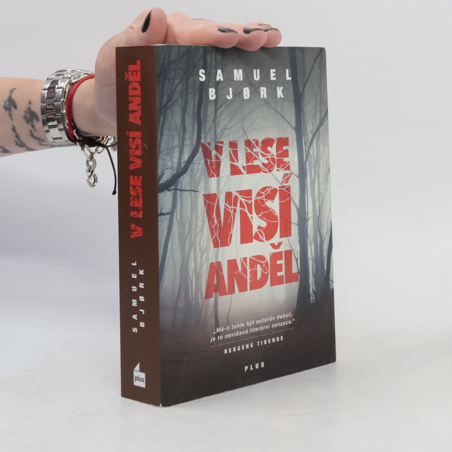 Samuel Bjork V lese visí anděl